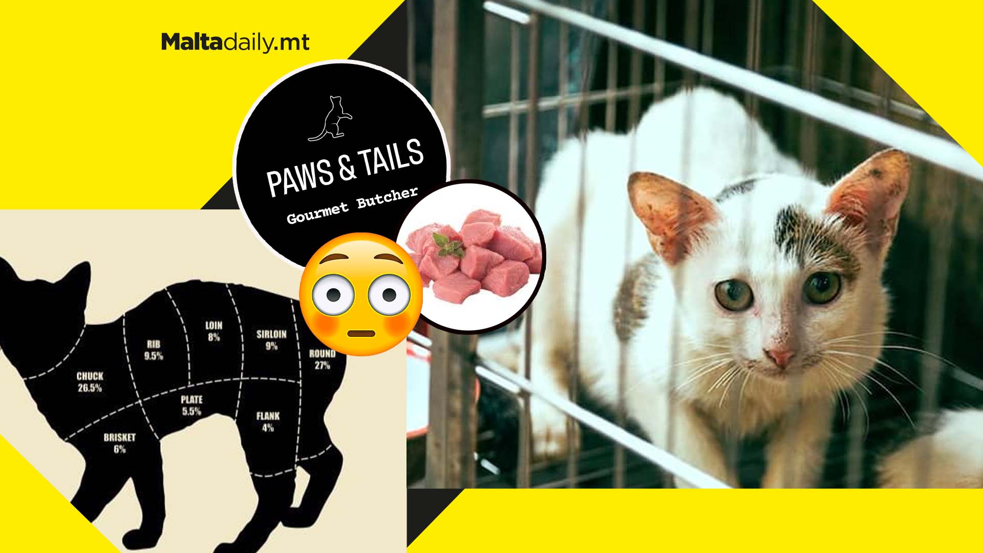 Cats on the Menu: Cat Gourmet Butcher page causes uproar on local social media