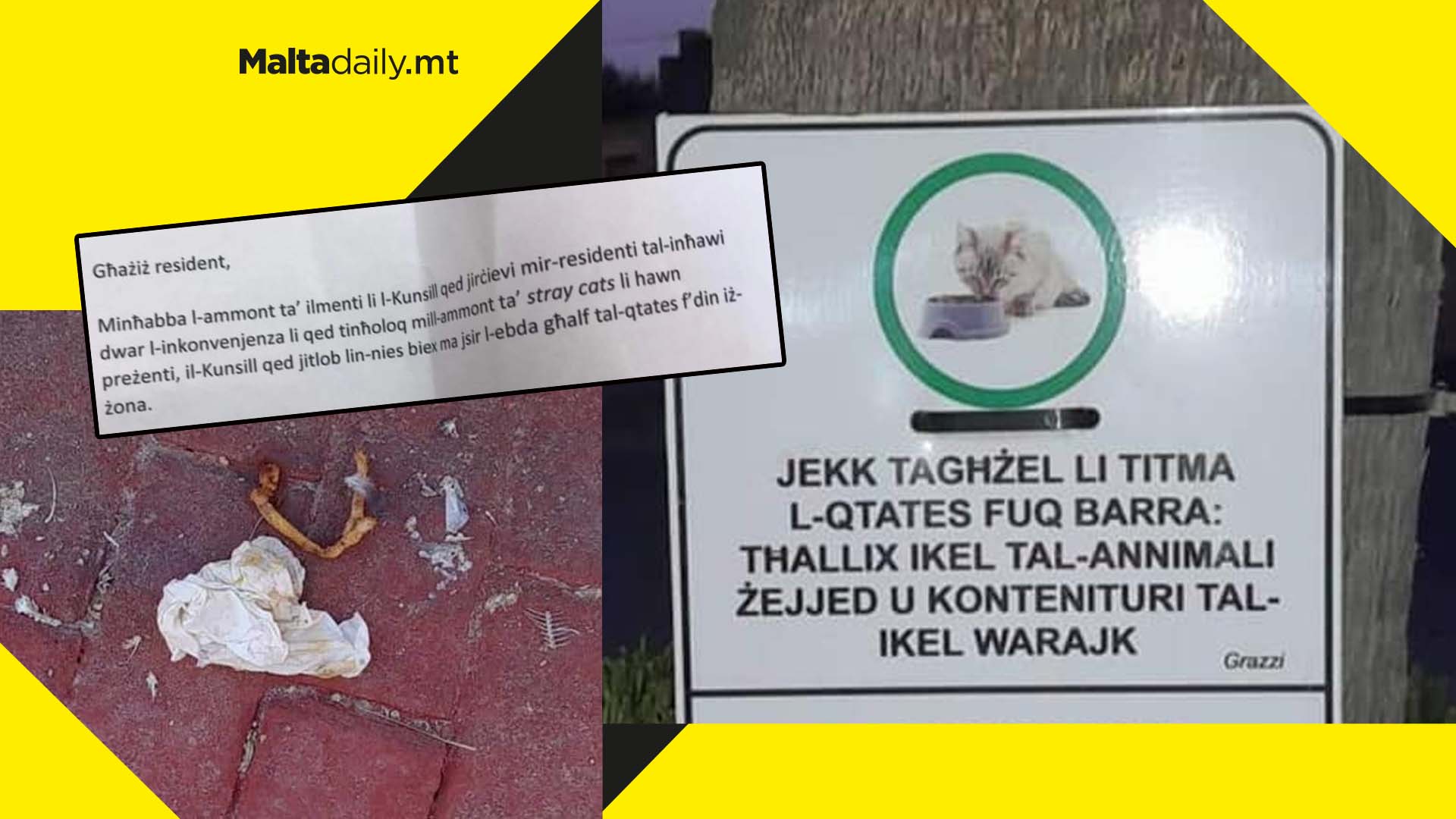 Outrage after Munxar residents asked to not feed stray cats