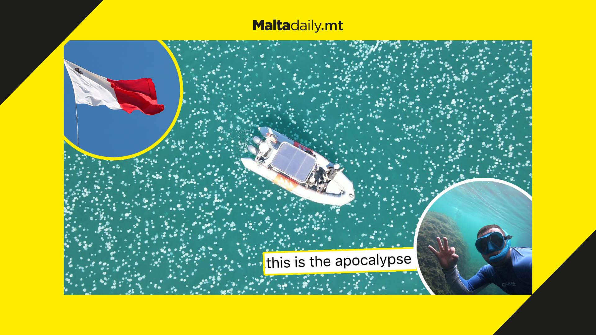 Israel ‘Jellyfish apocalypse’ to reach Malta as a result of climate change, experts warn