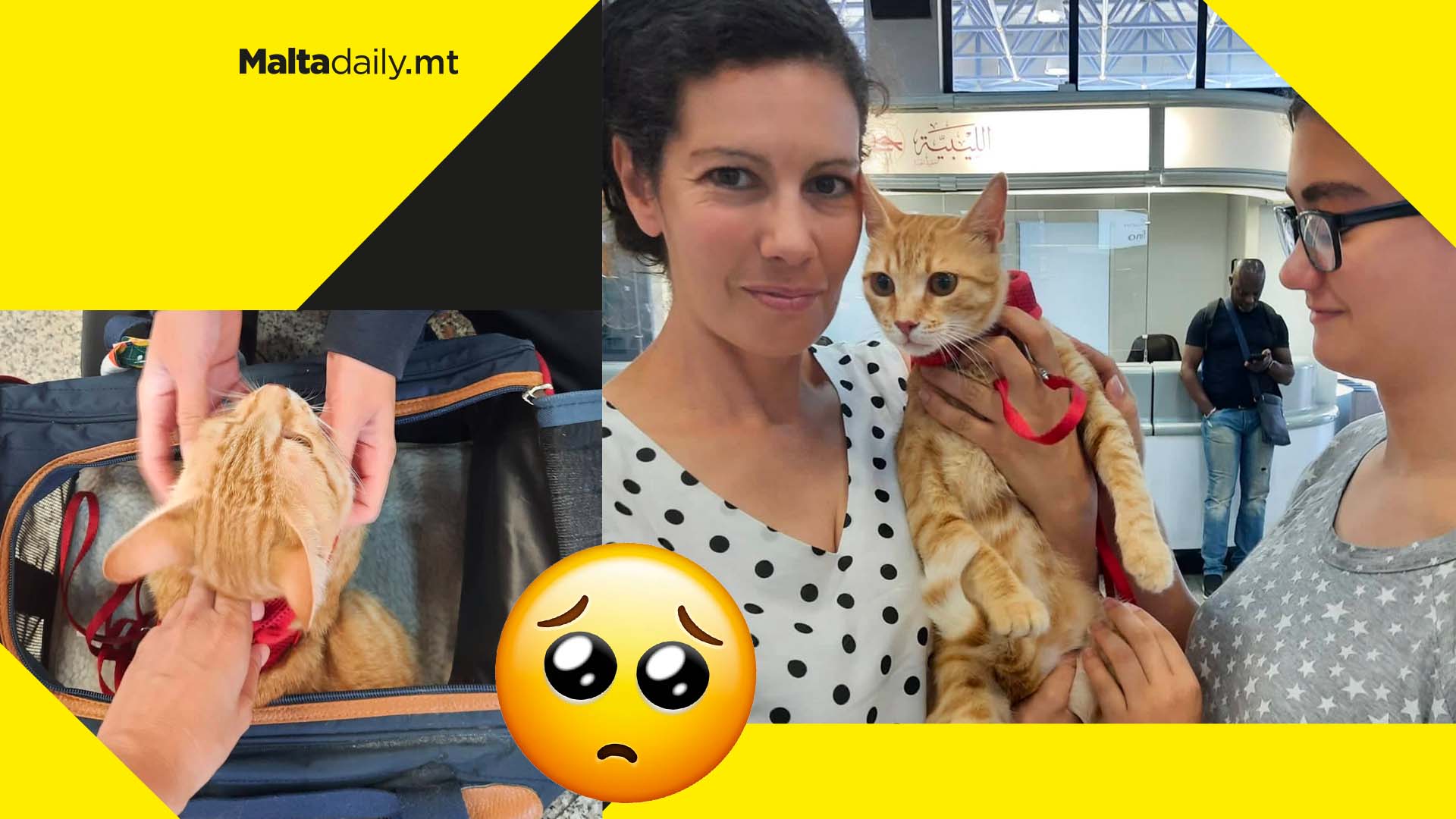 US woman travels to Malta from New Jersey to adopt stray cat