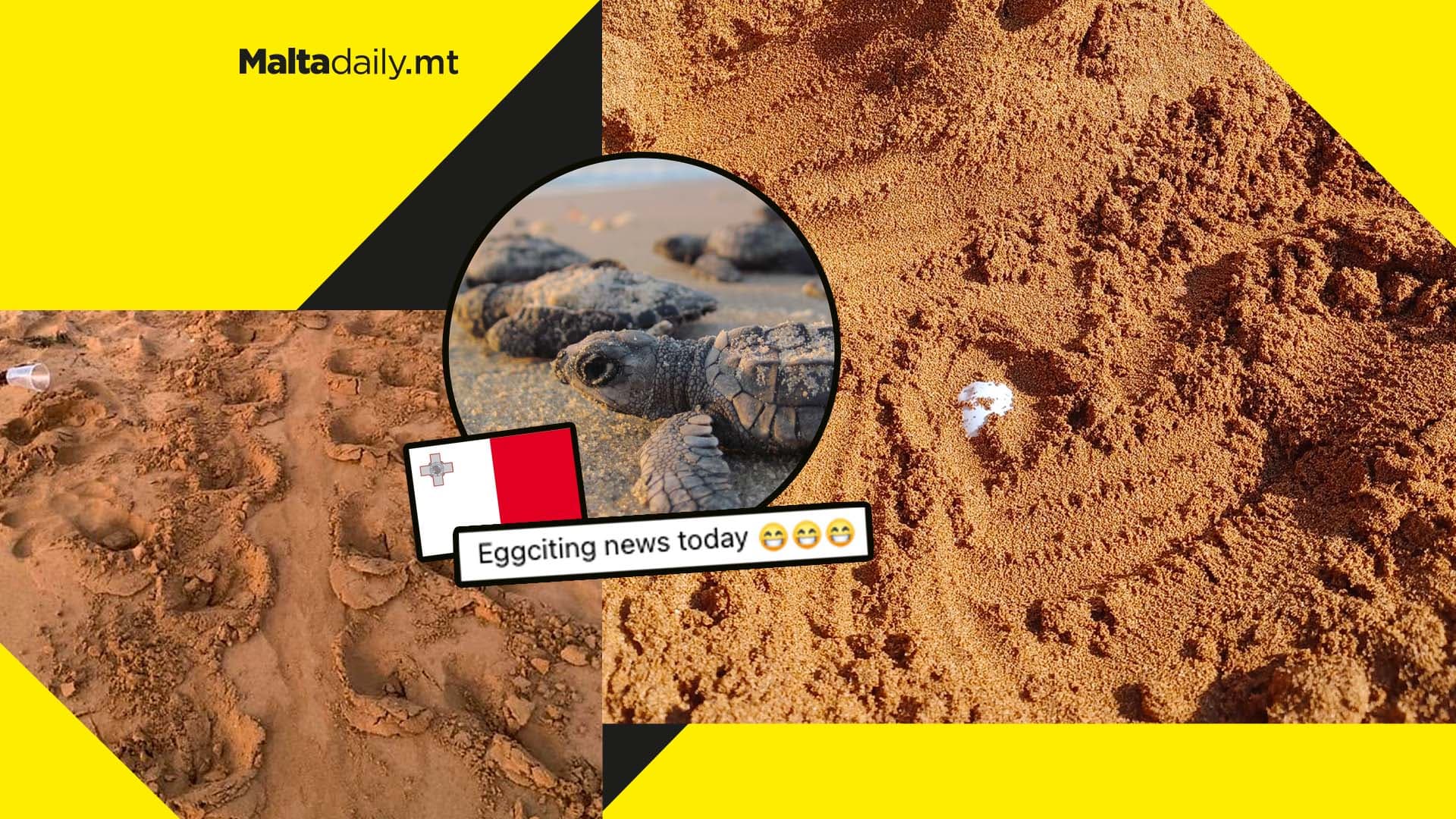 First turtle nest for summer 2022 found in Gozo by WildLife Rescue volunteer