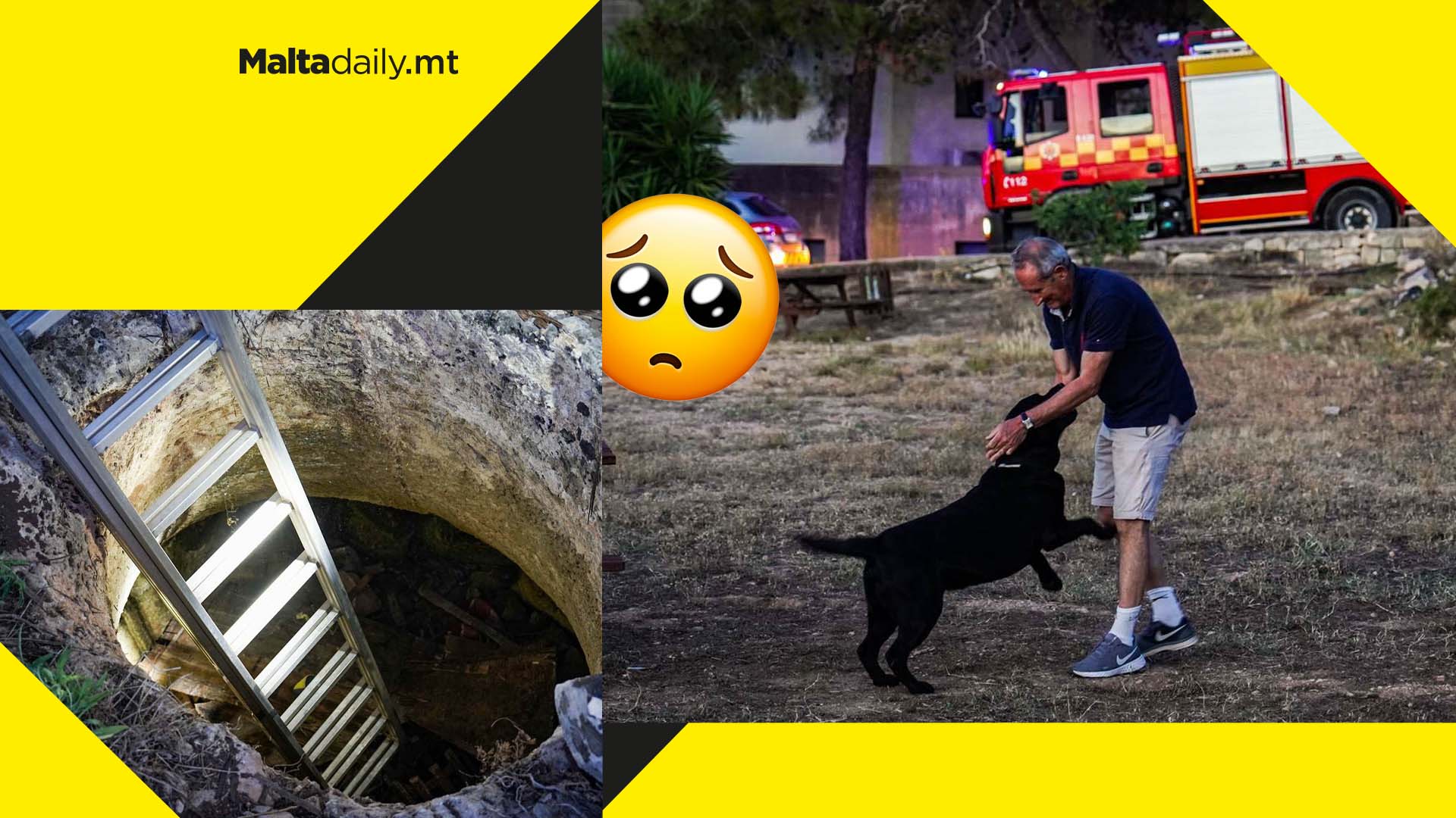 Dog saved by Civil Protection officers after falling down abandoned well