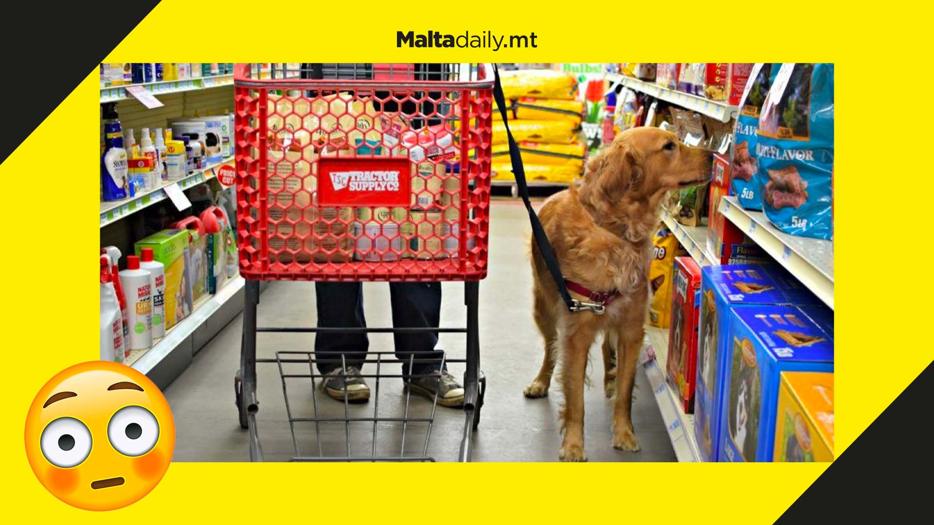 Local supermarkets facing fines if pets are not banned from shops