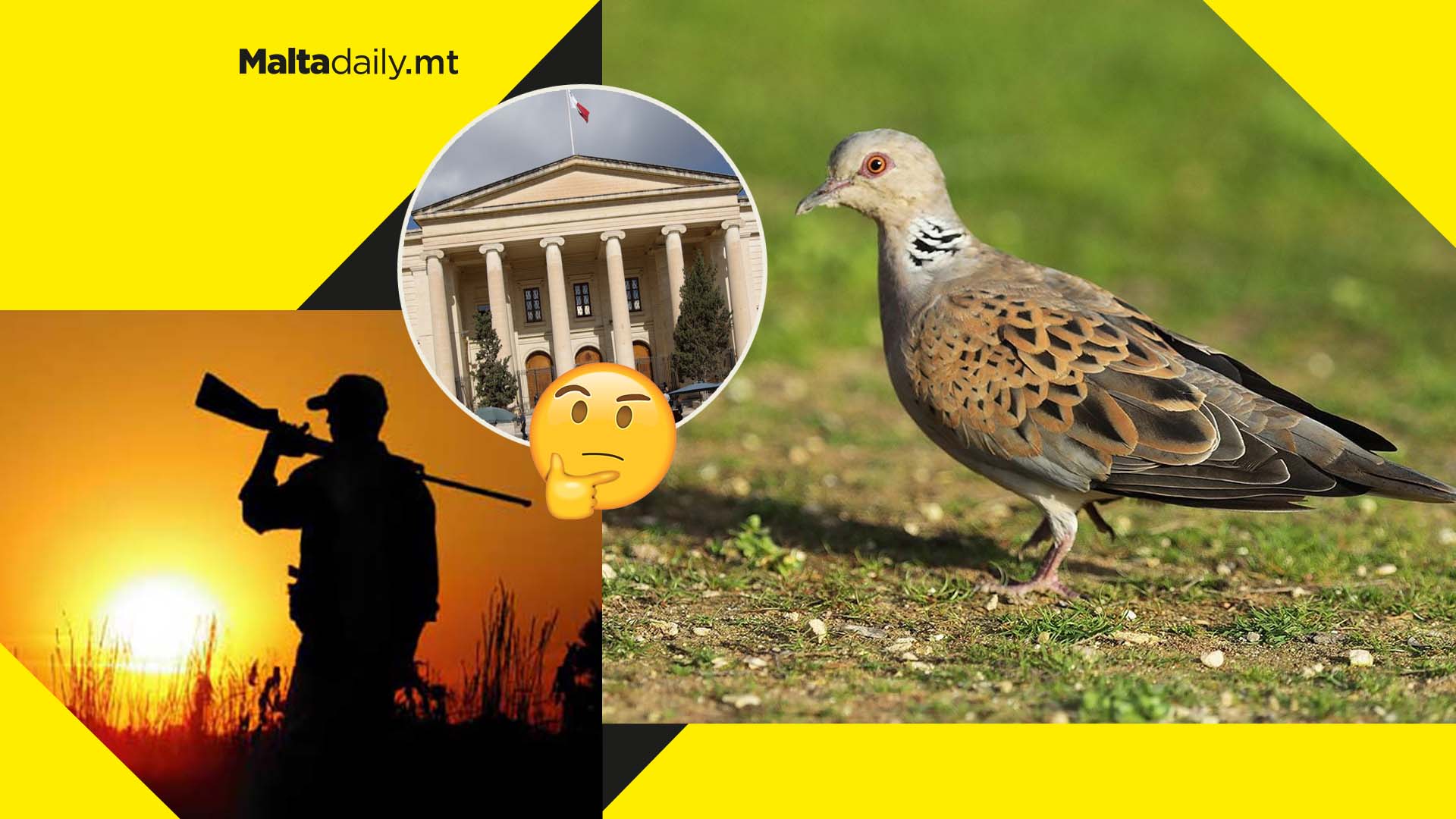 End spring hunting for turtle dove BirdLife asks court