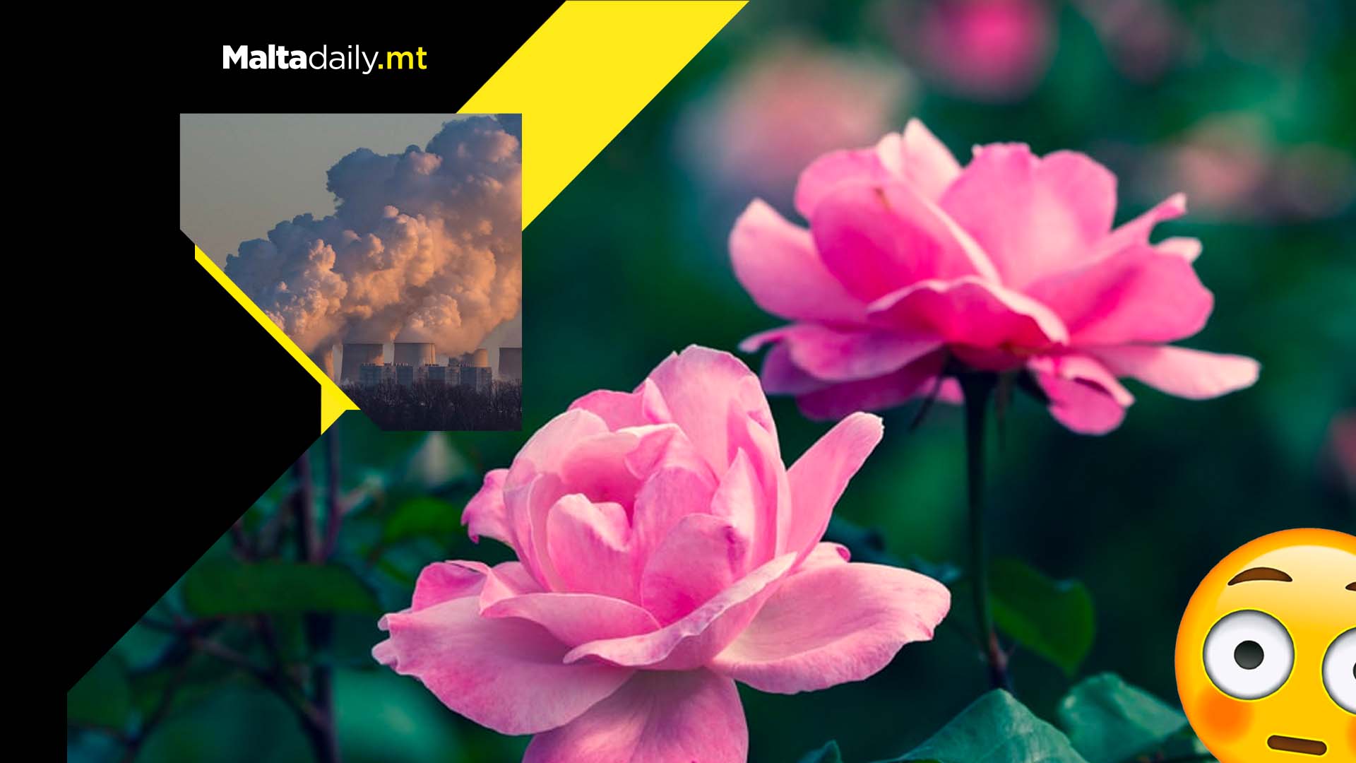 Flowers and plants blooming a month earlier due to climate change