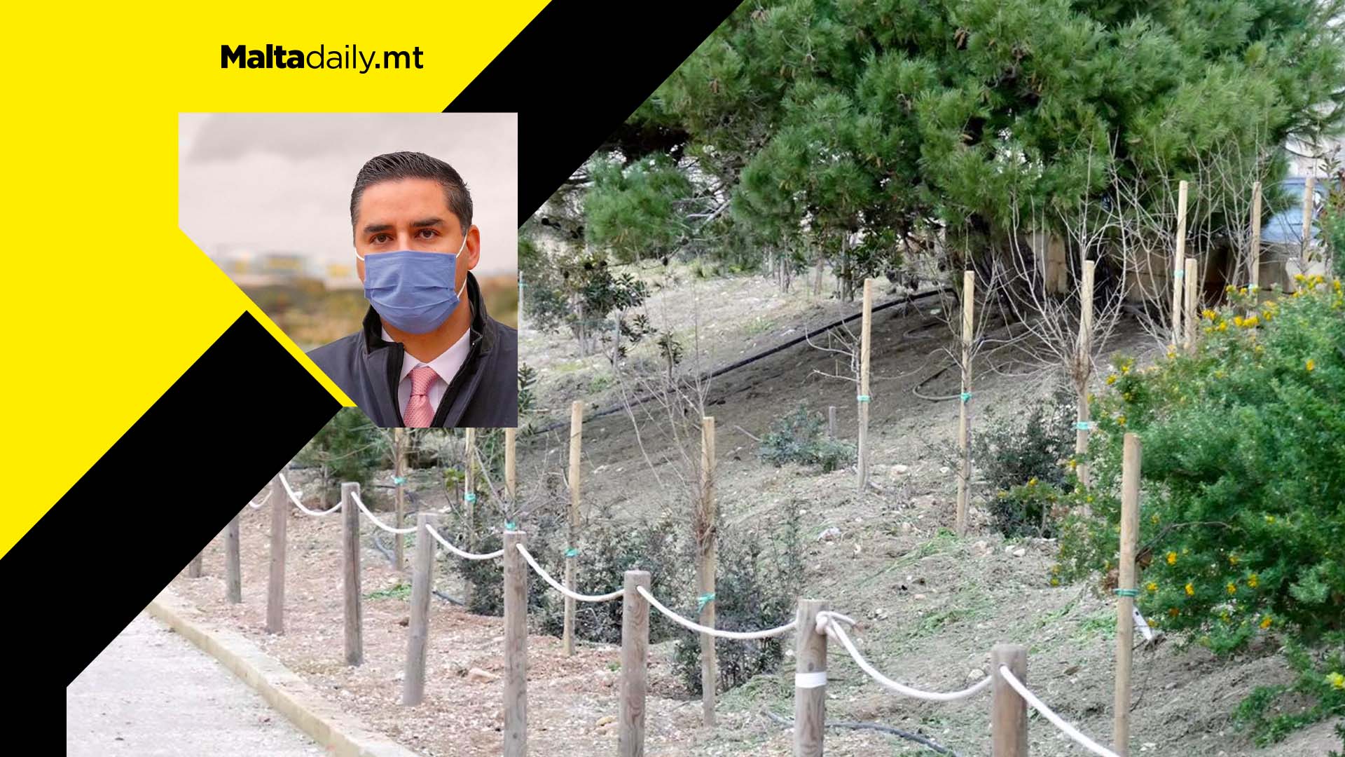 Infrastructure Malta plants 22,162 trees in 2021; minister reveals