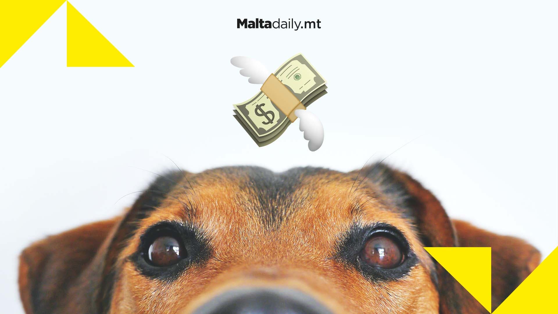 Sliema man owed neighbours €2,000 after multiple reports of barking dogs