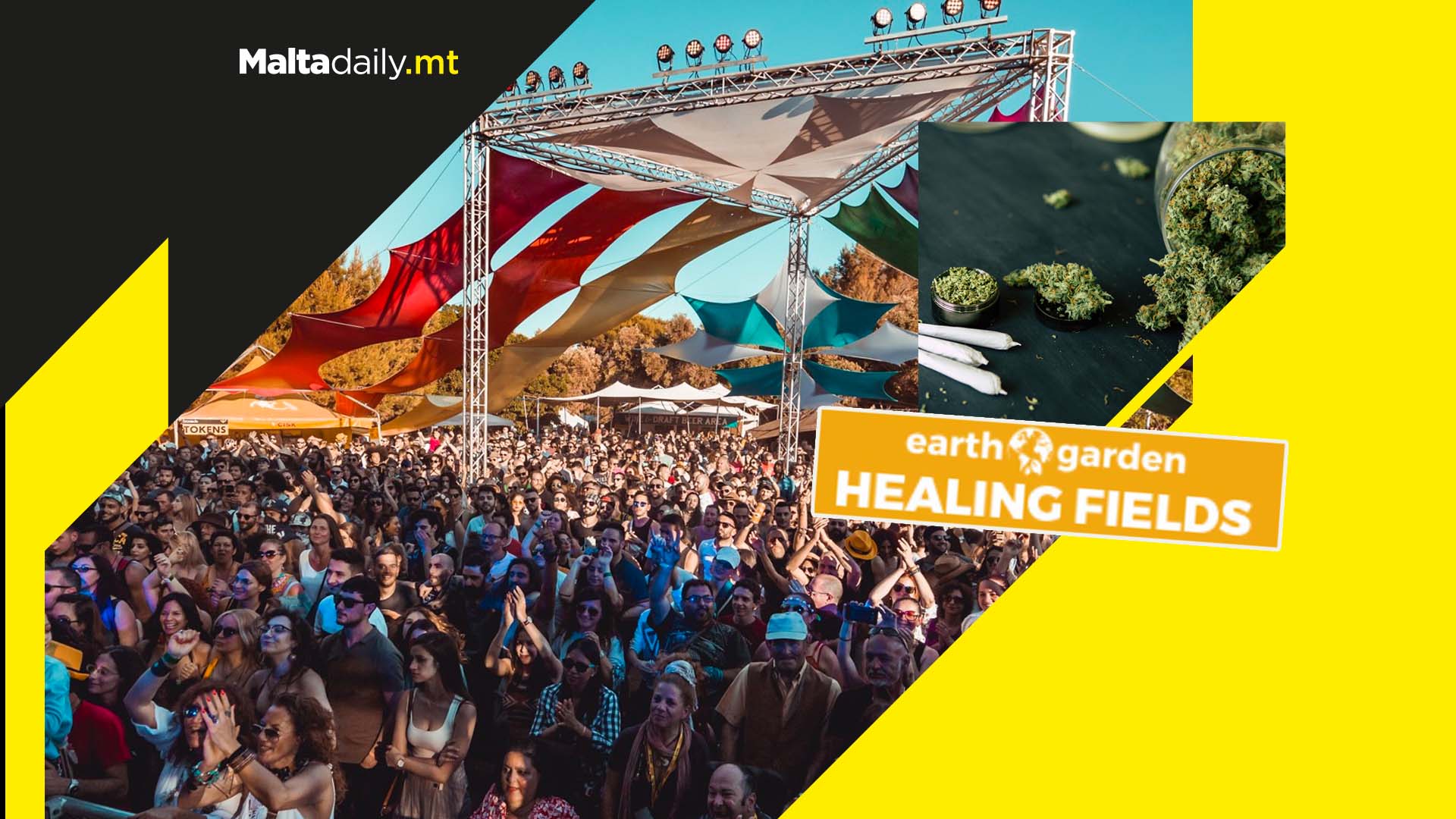 Drug harm-reduction workshops and booths for Earth Garden attendees