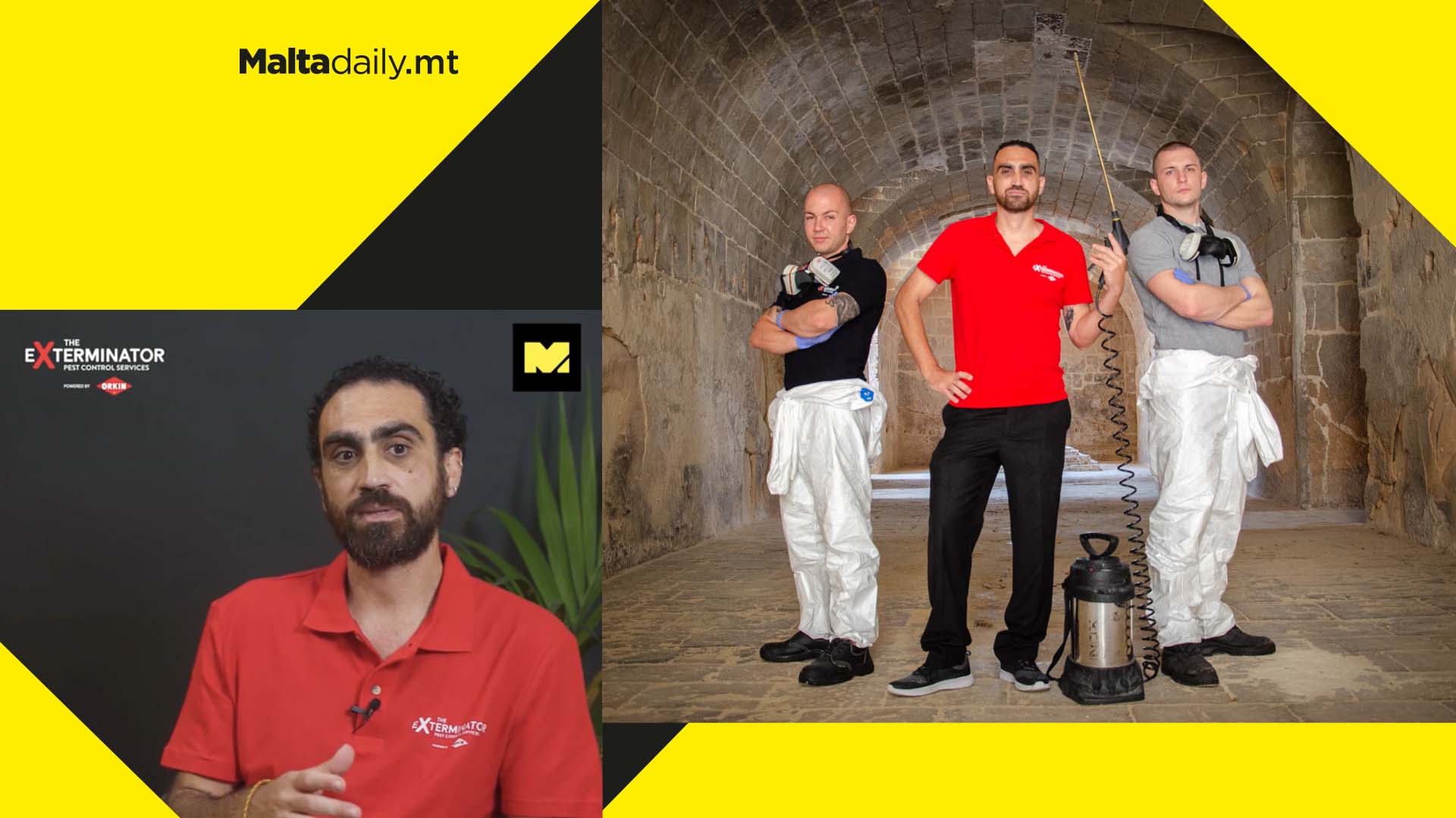 WATCH: Here’s how The Exterminator handles pests with the least cruelty possible