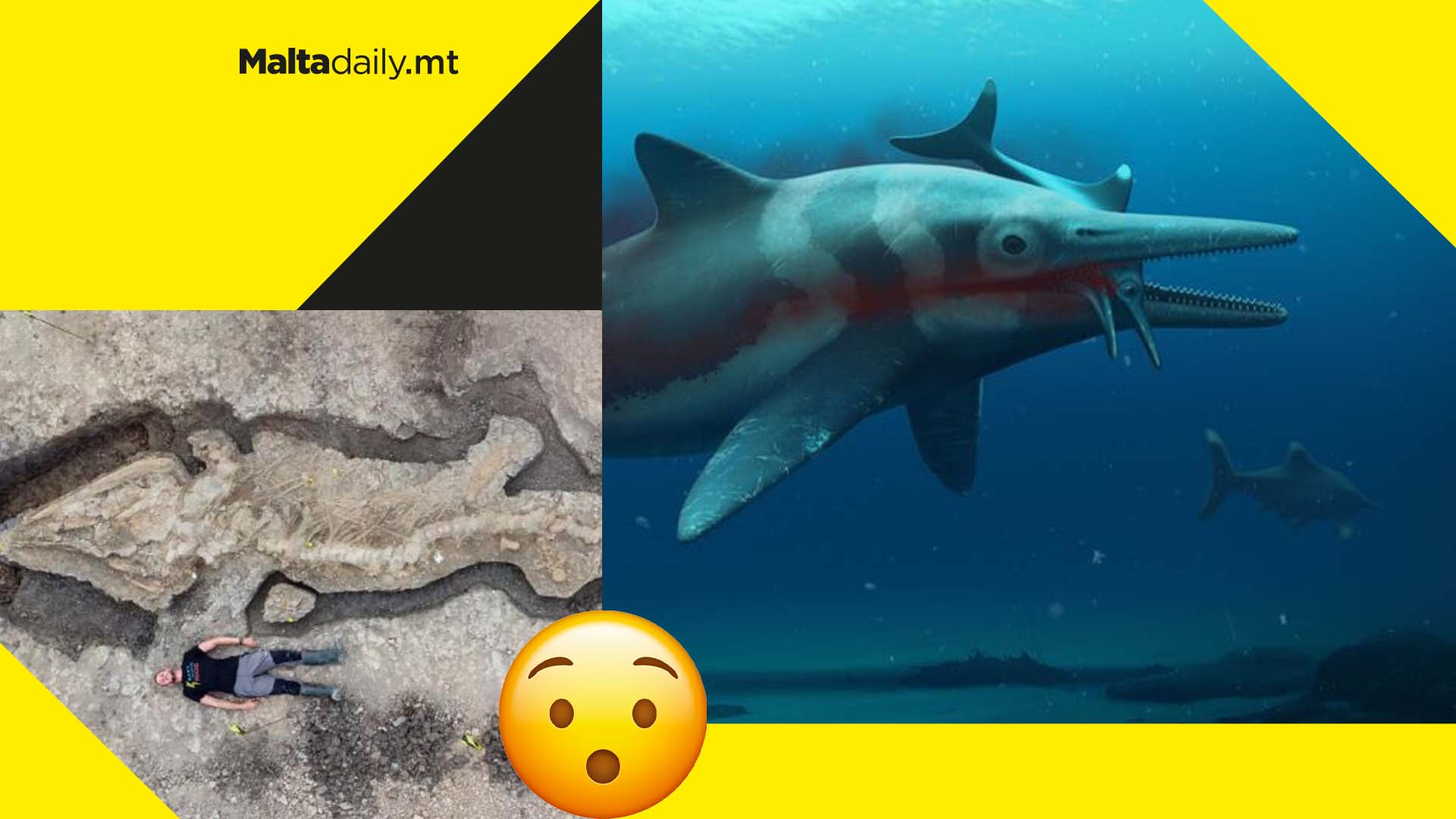 Massive ‘Sea Dragon’ dinosaur dolphin discovered in UK