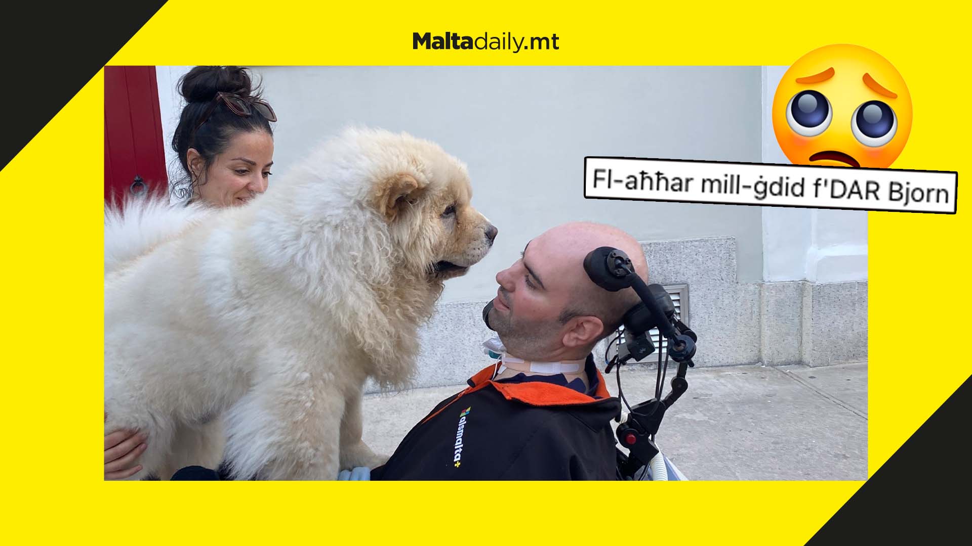 Bjorn’s dog Dar welcomes him back from hospital