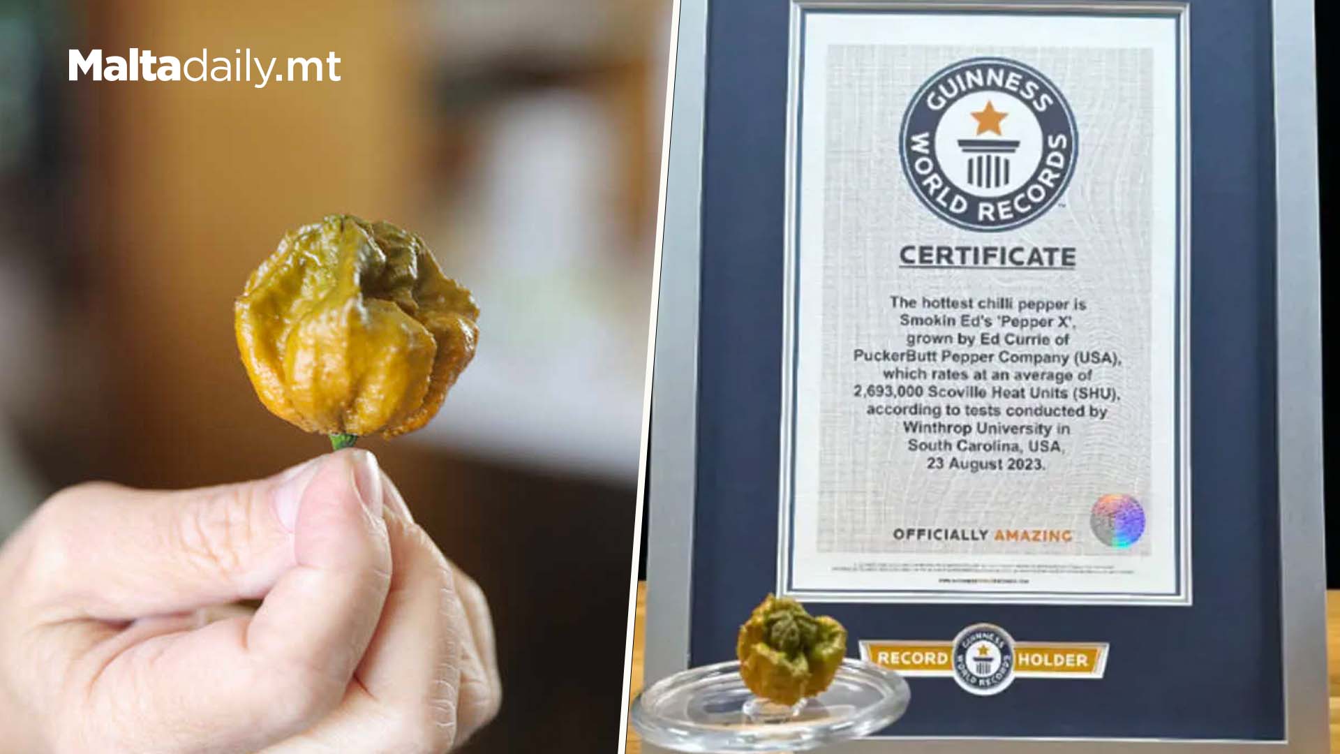 The World Has A New Hottest Chili Pepper: X