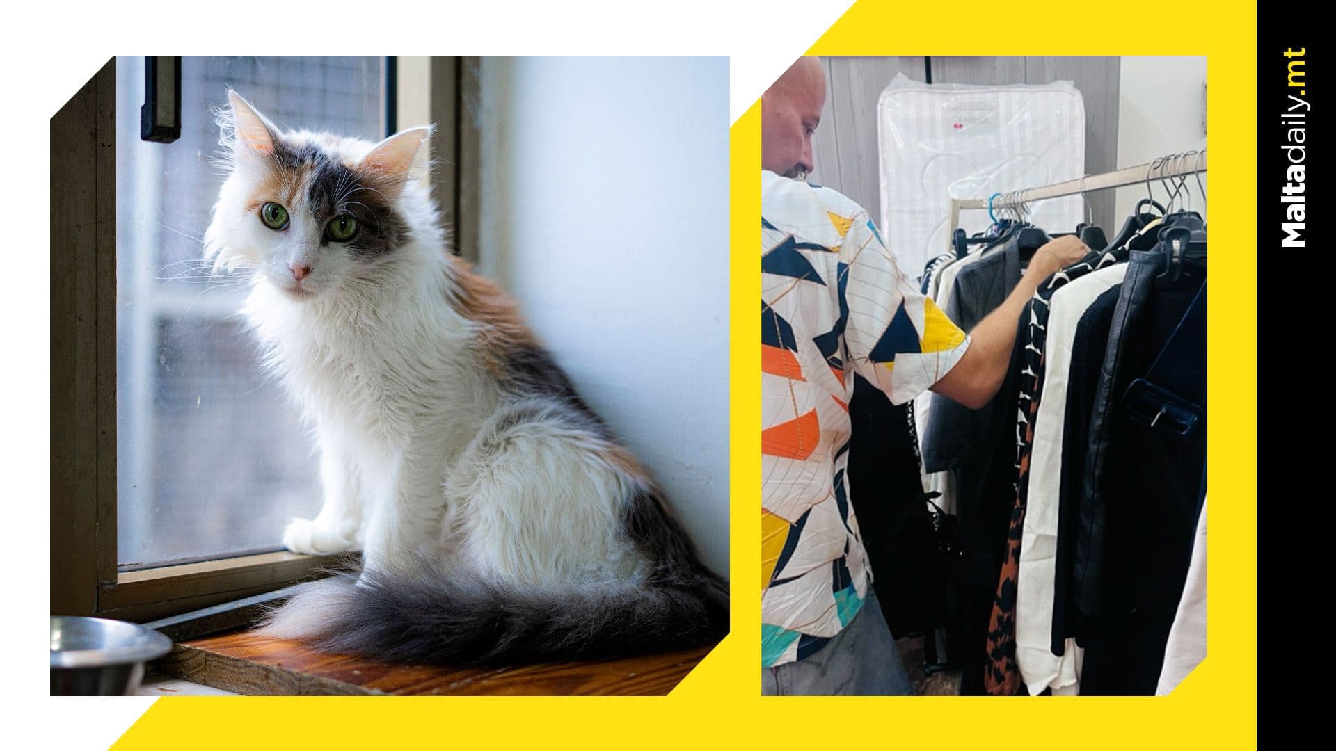 JOIN NOW: Animal Welfare & Fashion Sustainability Come Together at MSPCA’s “Reloved”