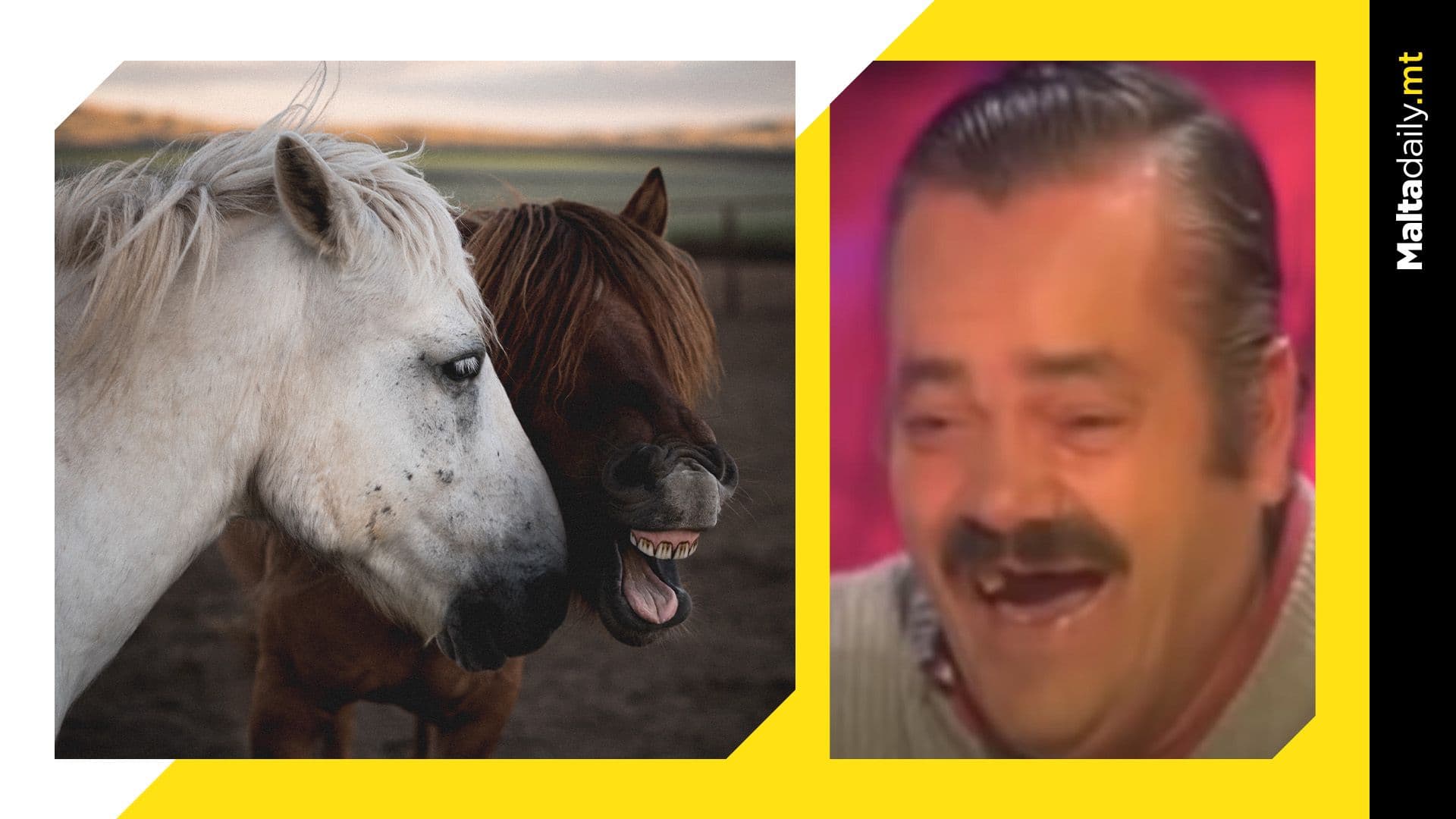 Pa-wguri! Dad Jokes bil-Malti f’Jum il-Missier