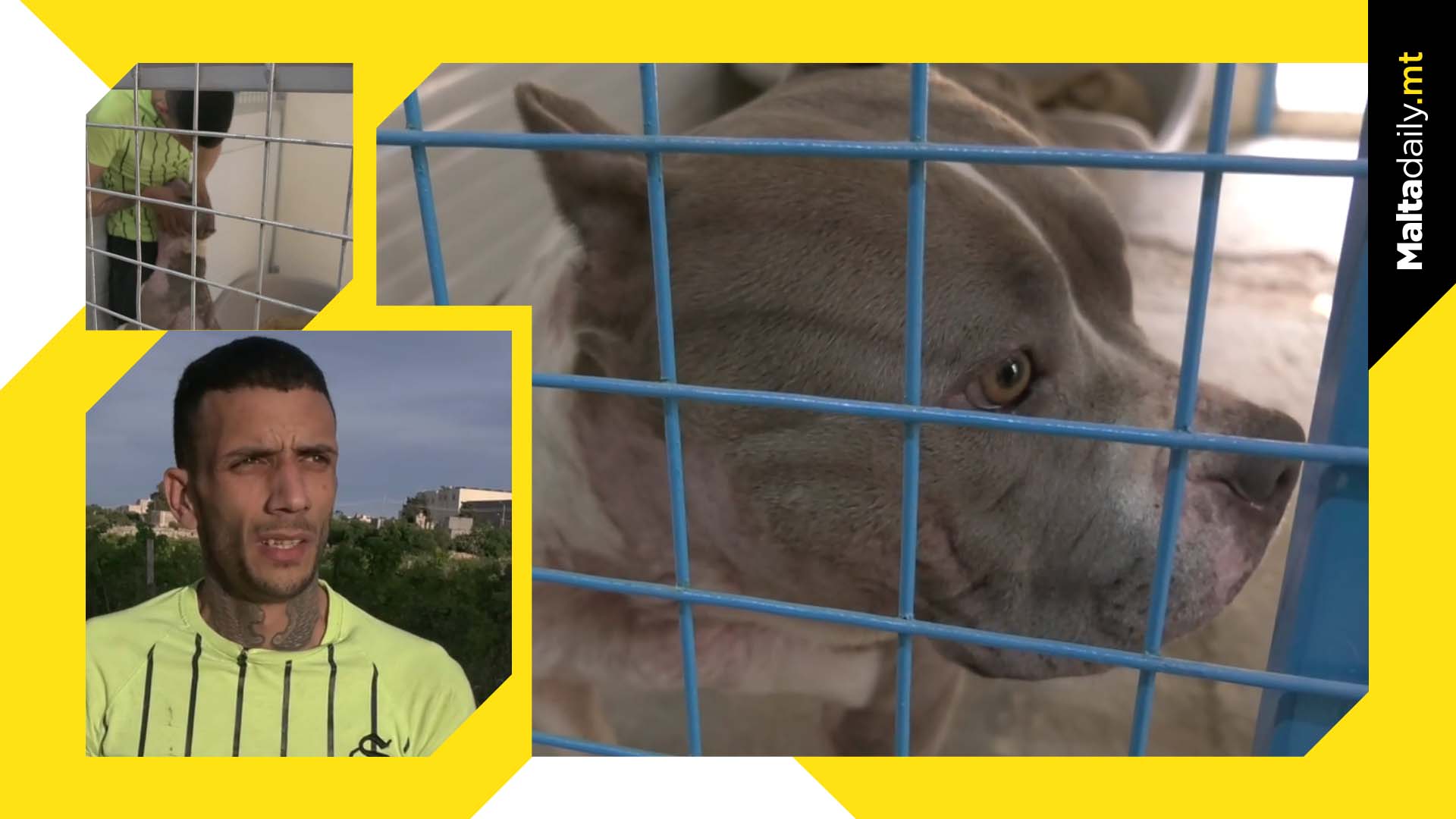 Moment owner and lost dog reunite after almost 3 month separation