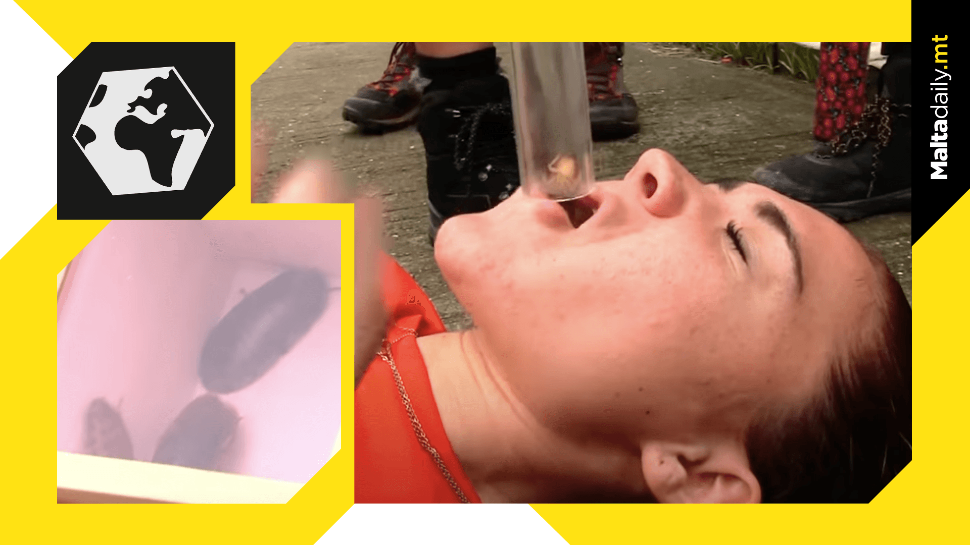 Would You Eat a Live Cockroach ?! Liquorish Returns for 19th Season with a Bang