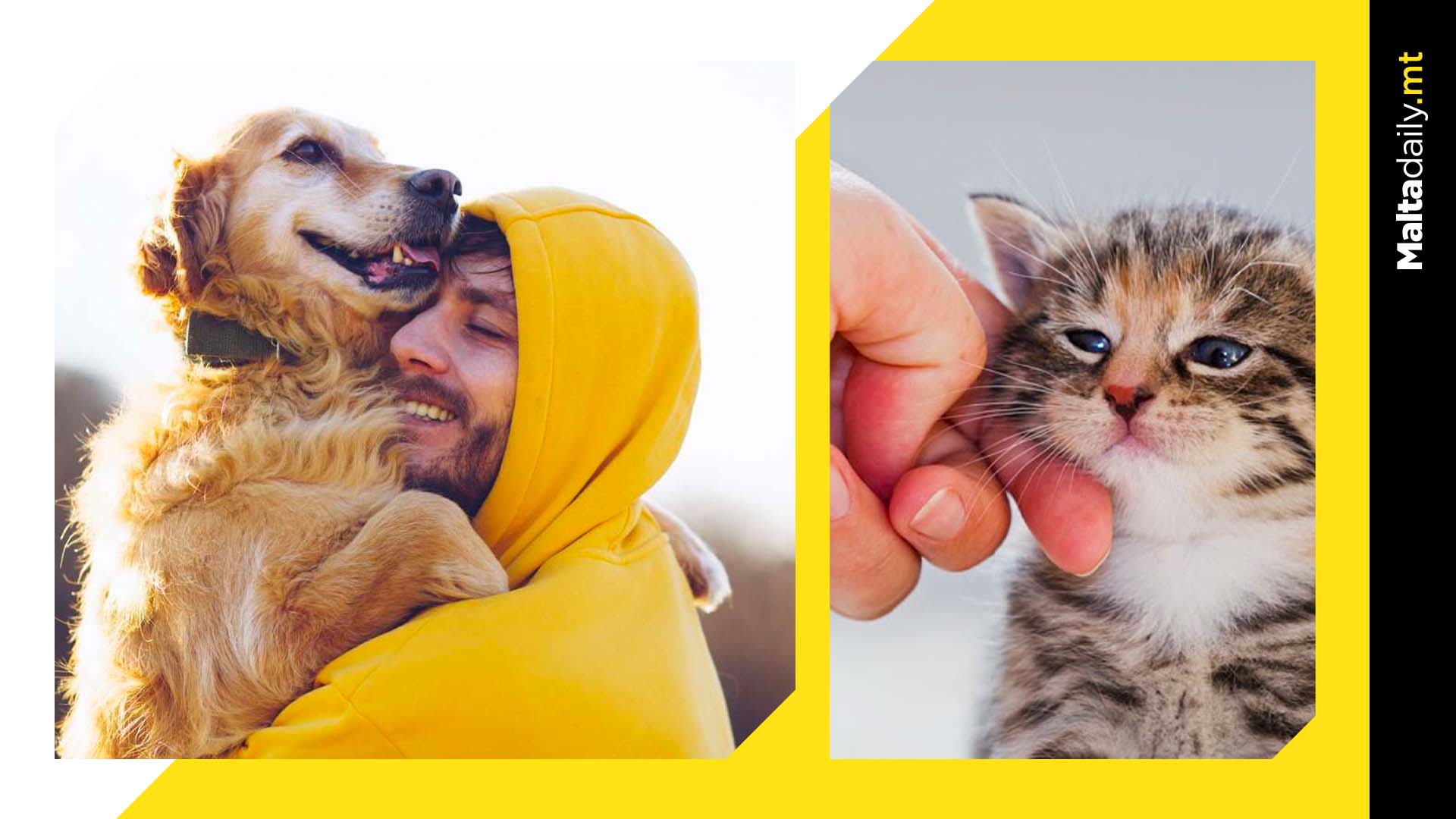 Gen Z more joyful seeing their pet happy than their partner