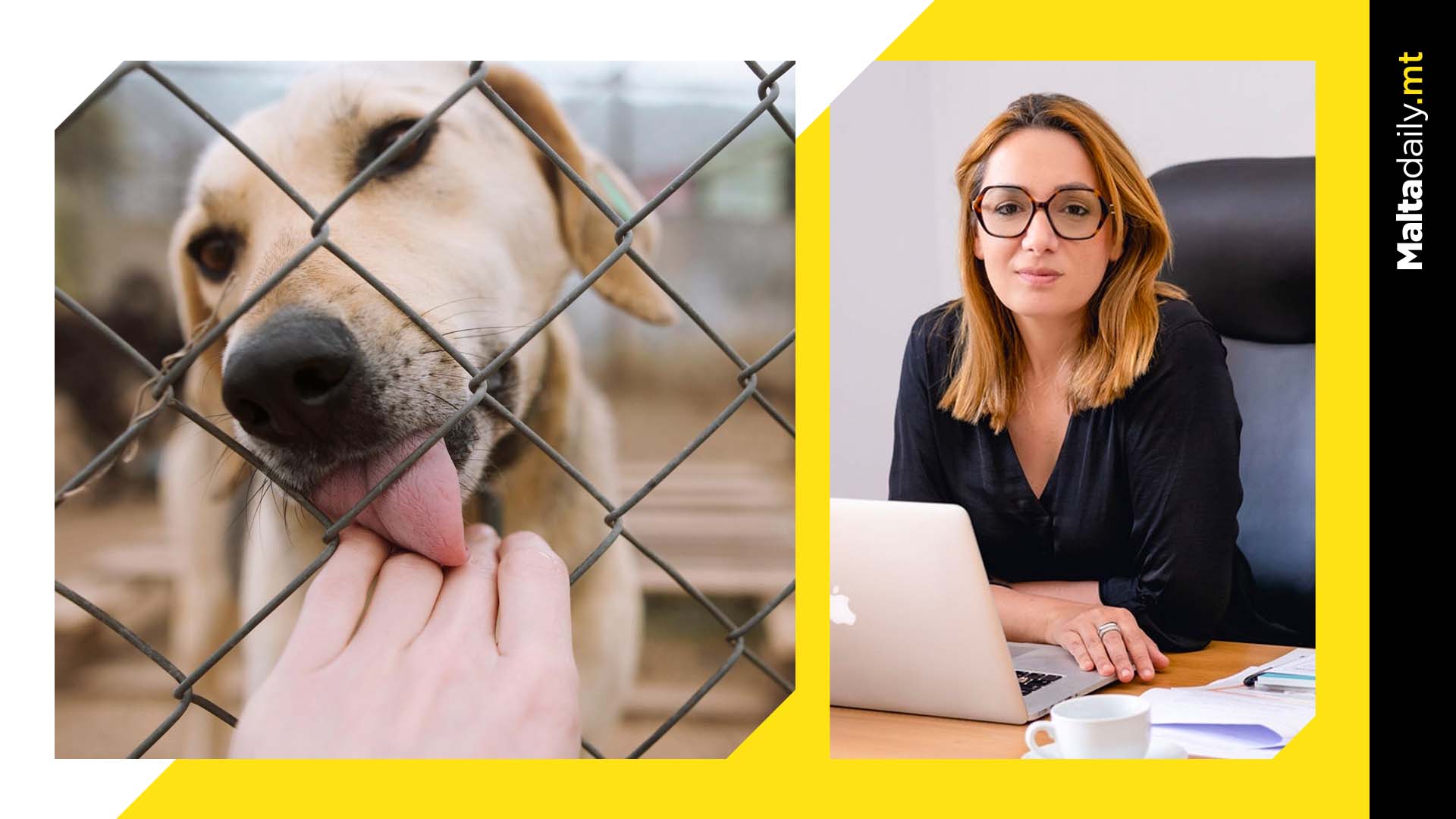 Animal Commissioner opens up about feelings of helplessness