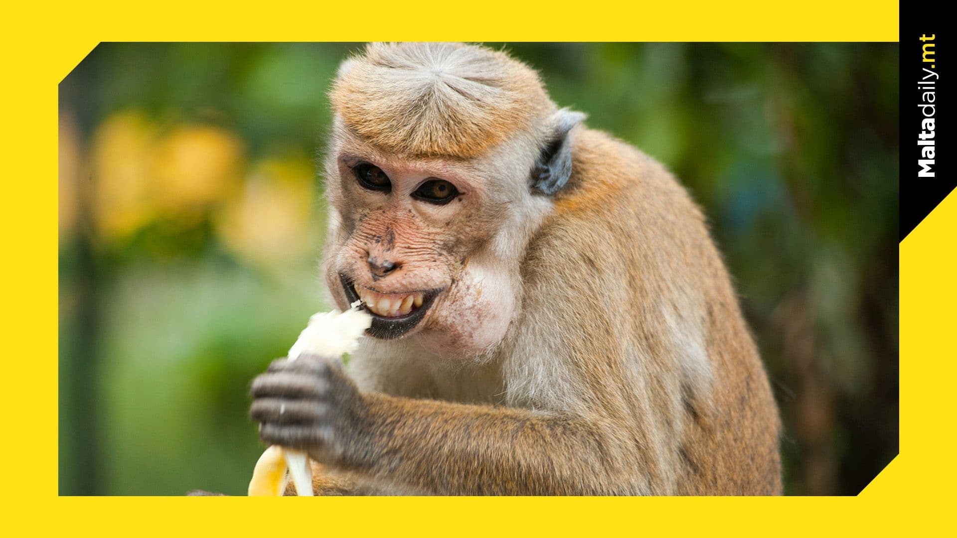 What is ‘April Fools’ Day’ and why exactly do we celebrate it?