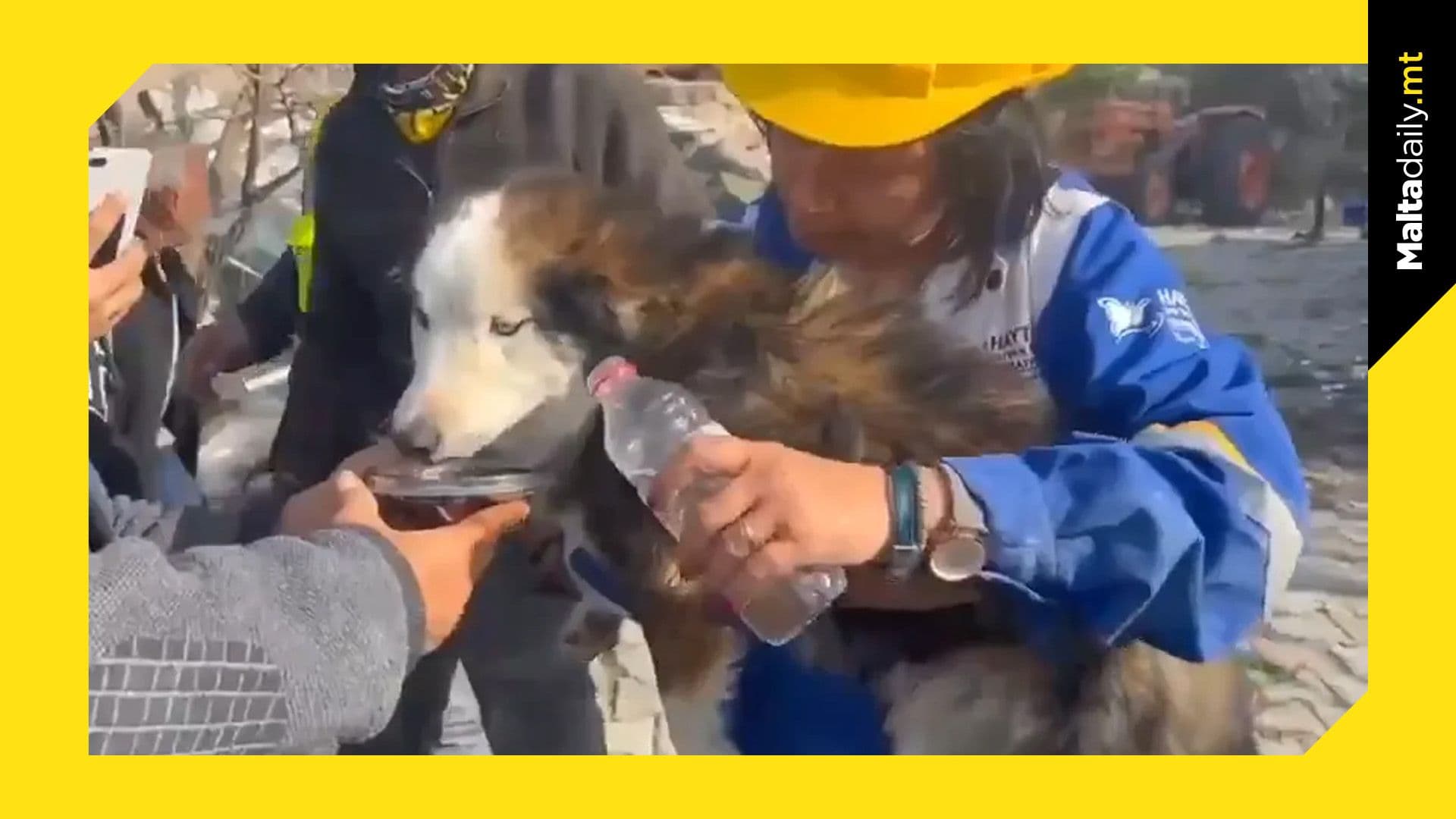 ‘Miracle dog’ rescued from rubble 23 days after earthquakes in Turkey