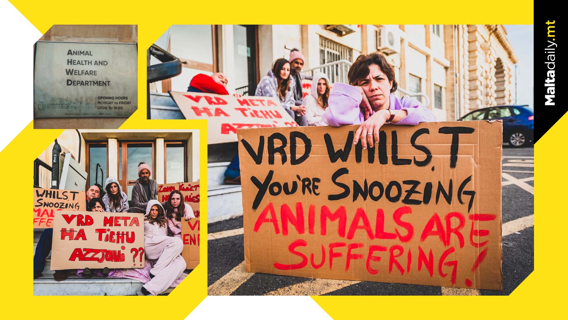 Animal activists protest lack of action in stopping horse circus