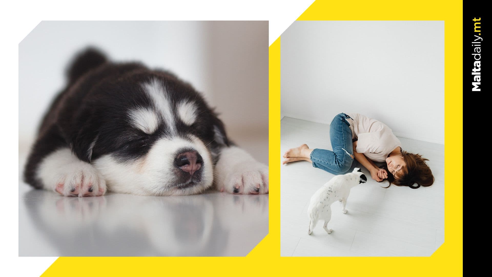 Women sleep better near dogs than people, new study claims