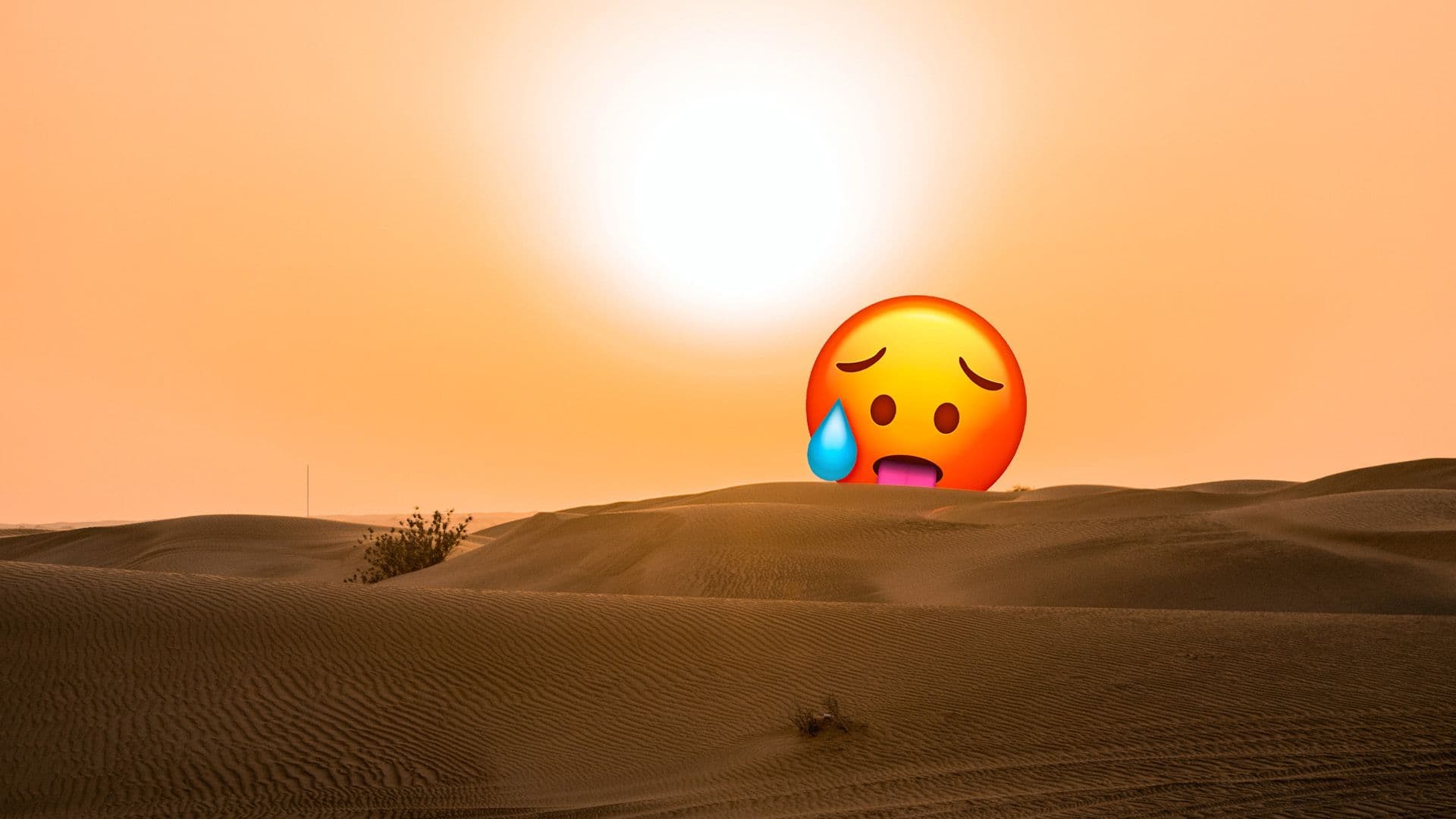 Near-Certainty That 2023 Will Be The Hottest Year On Record