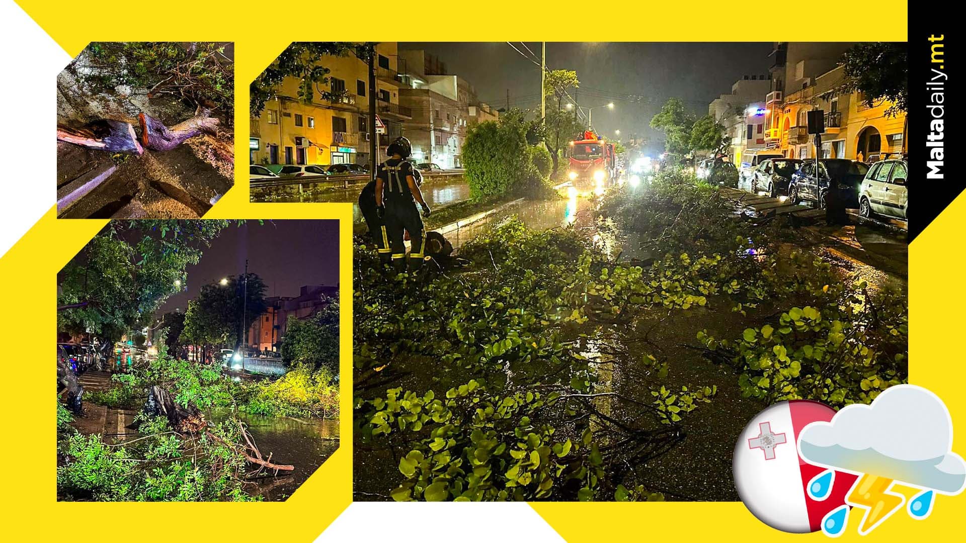 Teams Work To Clear Roads After Storm Felled Trees Overnight