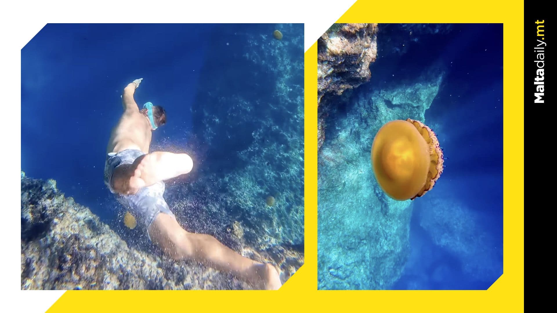 Maltese Diver gets Up Close & Personal with Fried Egg Jellyfish in Magical Video
