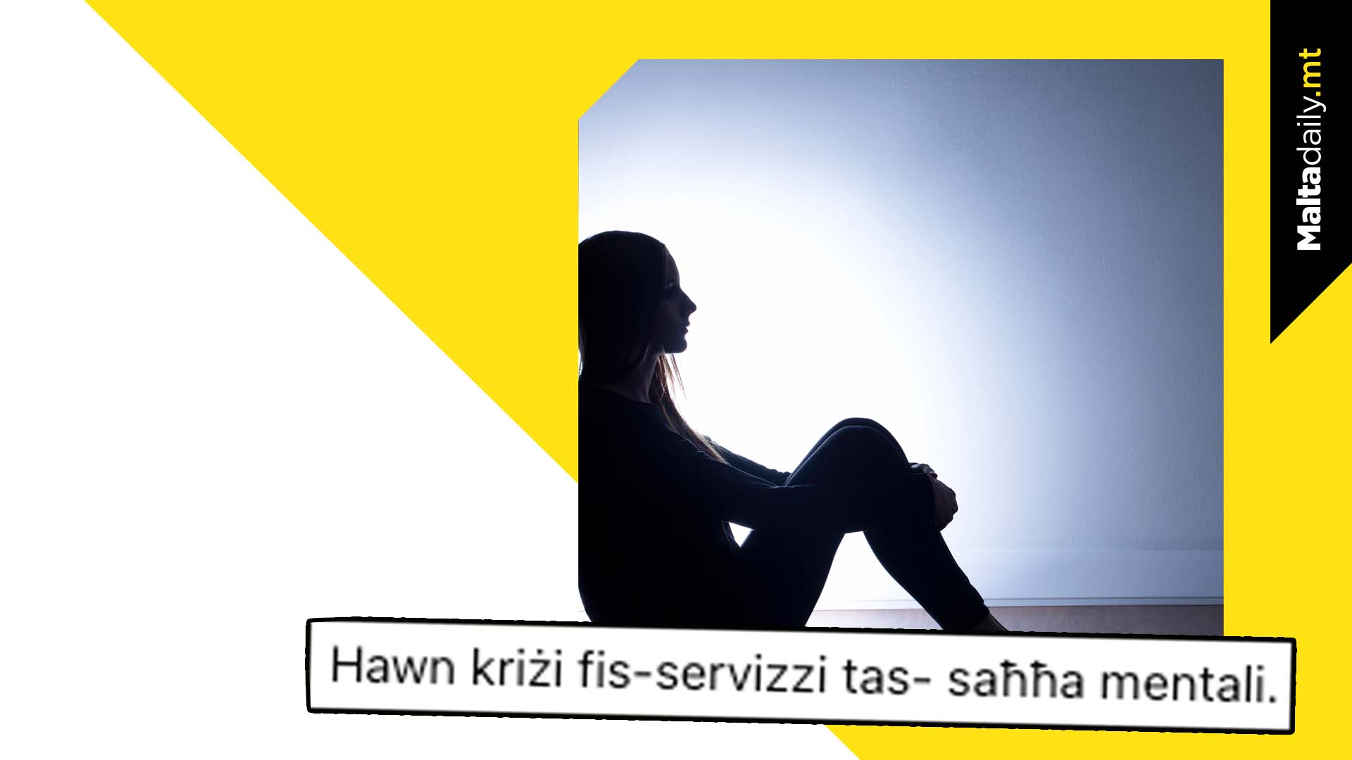 Chamber President Highlights Mental Health Services Hurdles