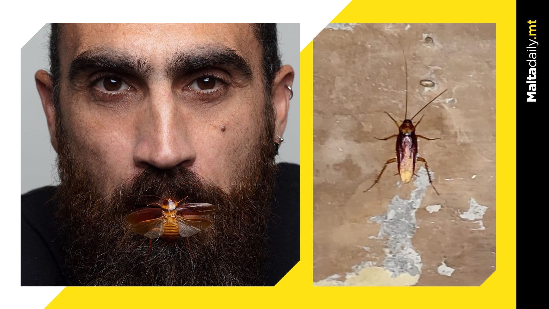 Cockroach or Divine Vision? Viral Photo Sparks Heated Debate!