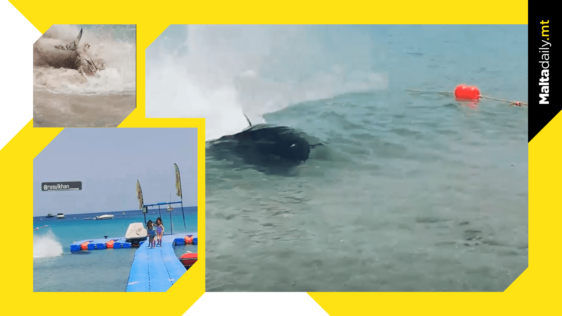 Massive Tuna Swims Into Għadira Bay