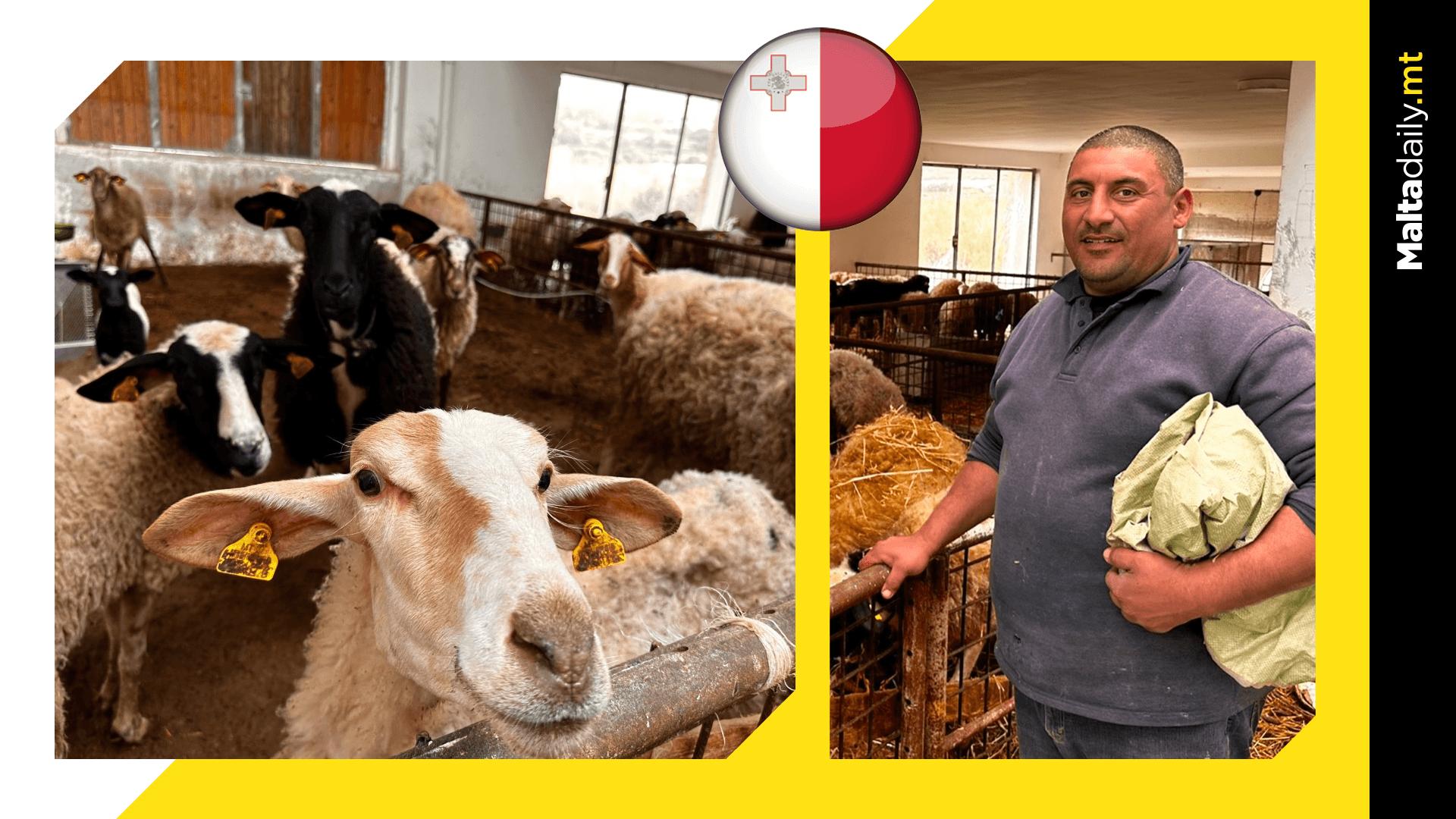 Bidnija Farm Revises Planning Use Application