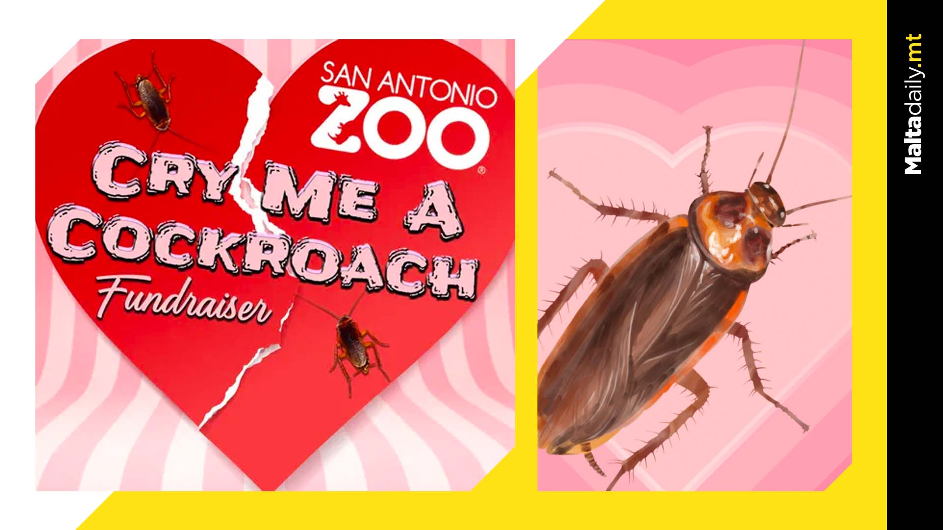 You can name a cockroach or rat after your ex this Valentine’s