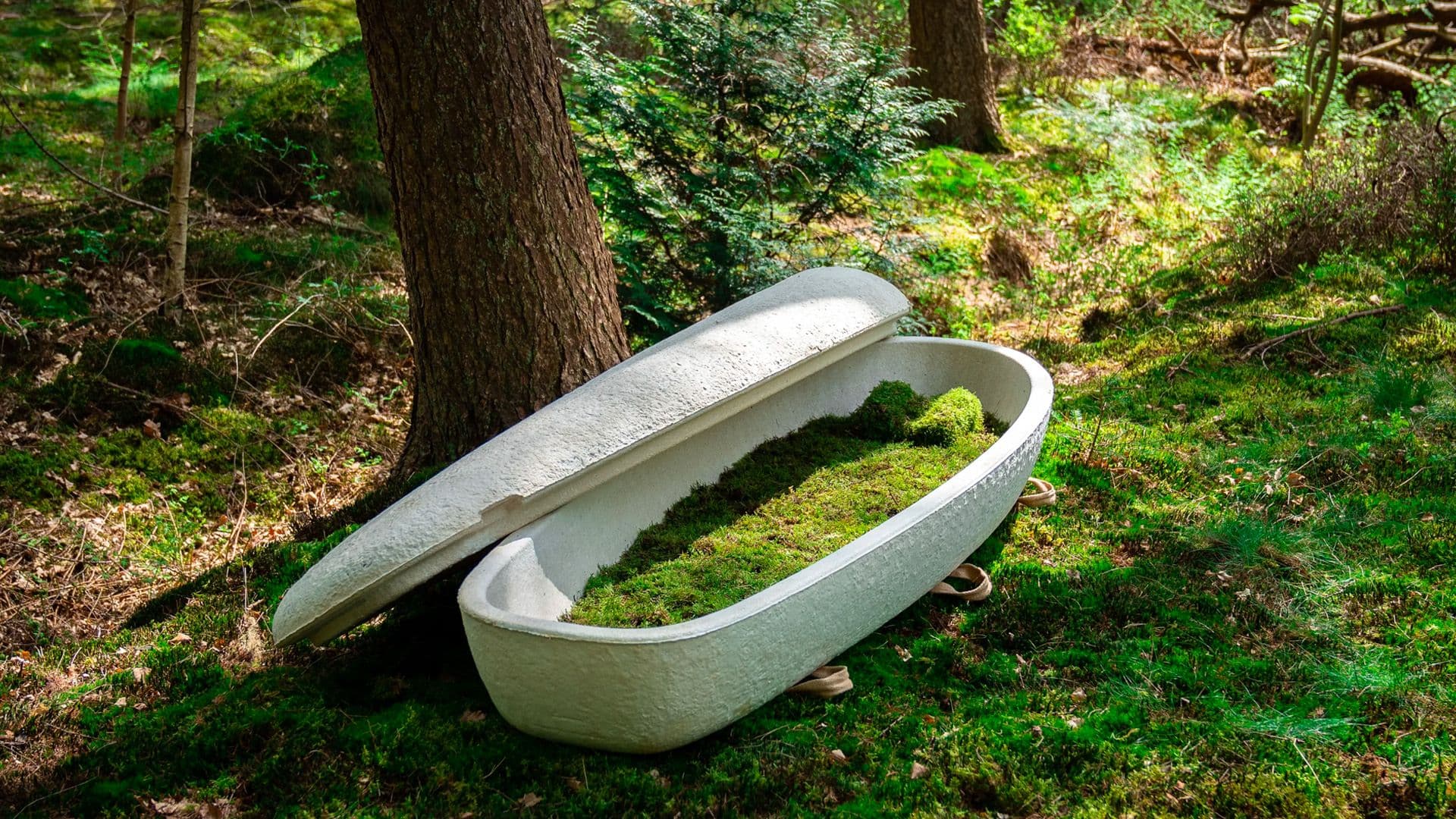 Biodegradable ‘Living Coffins’ Give Bodies New Life After Death