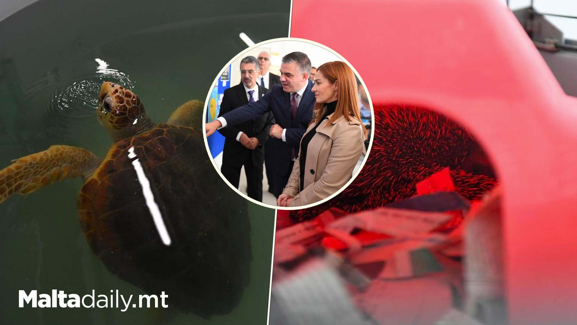 New Centre To Help Volunteers Rehabilitate Wildlife