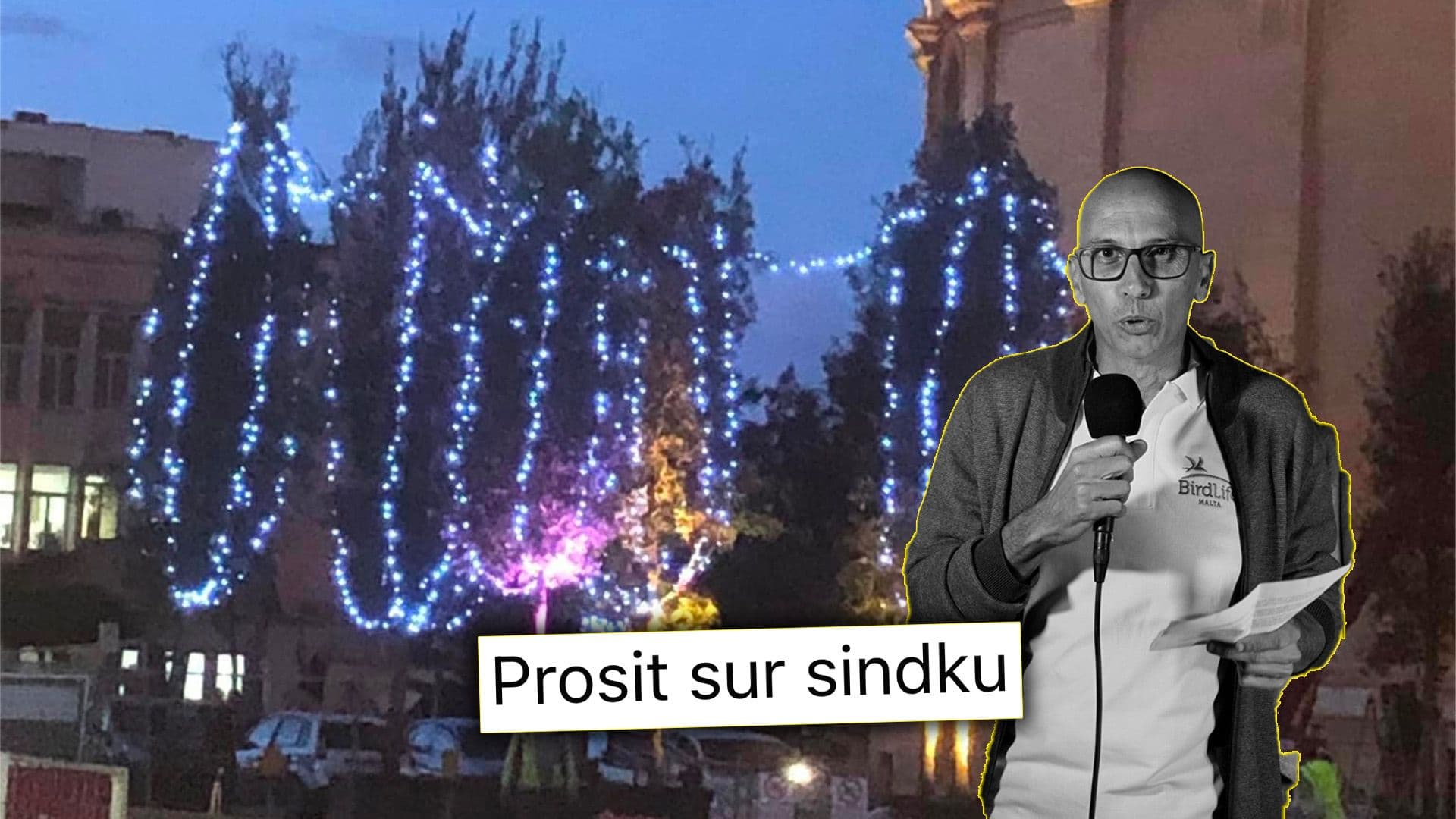 Backlash in Mosta After Replacement Trees Decorated With Christmas Lights