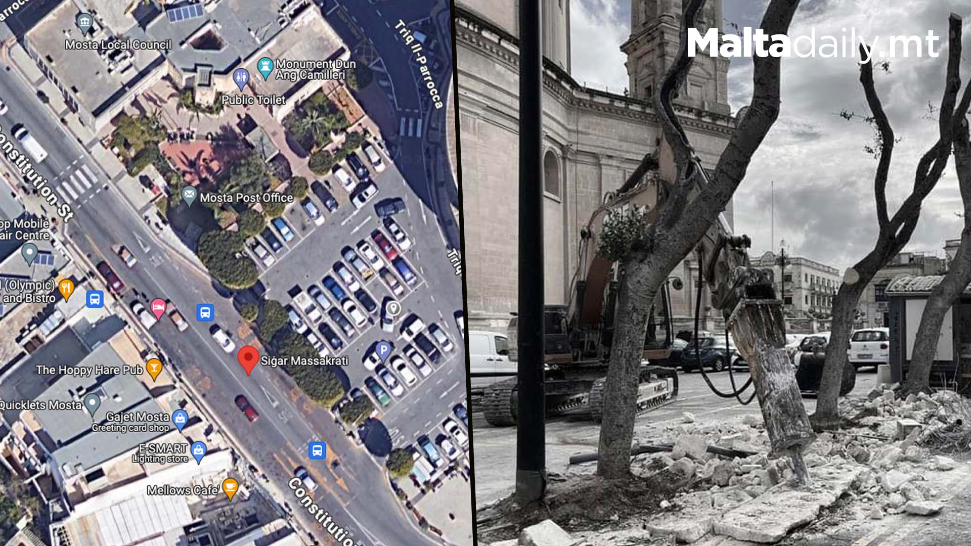 Google Maps Marks Mosta Tree Site As ‘Siġar Massakrati’