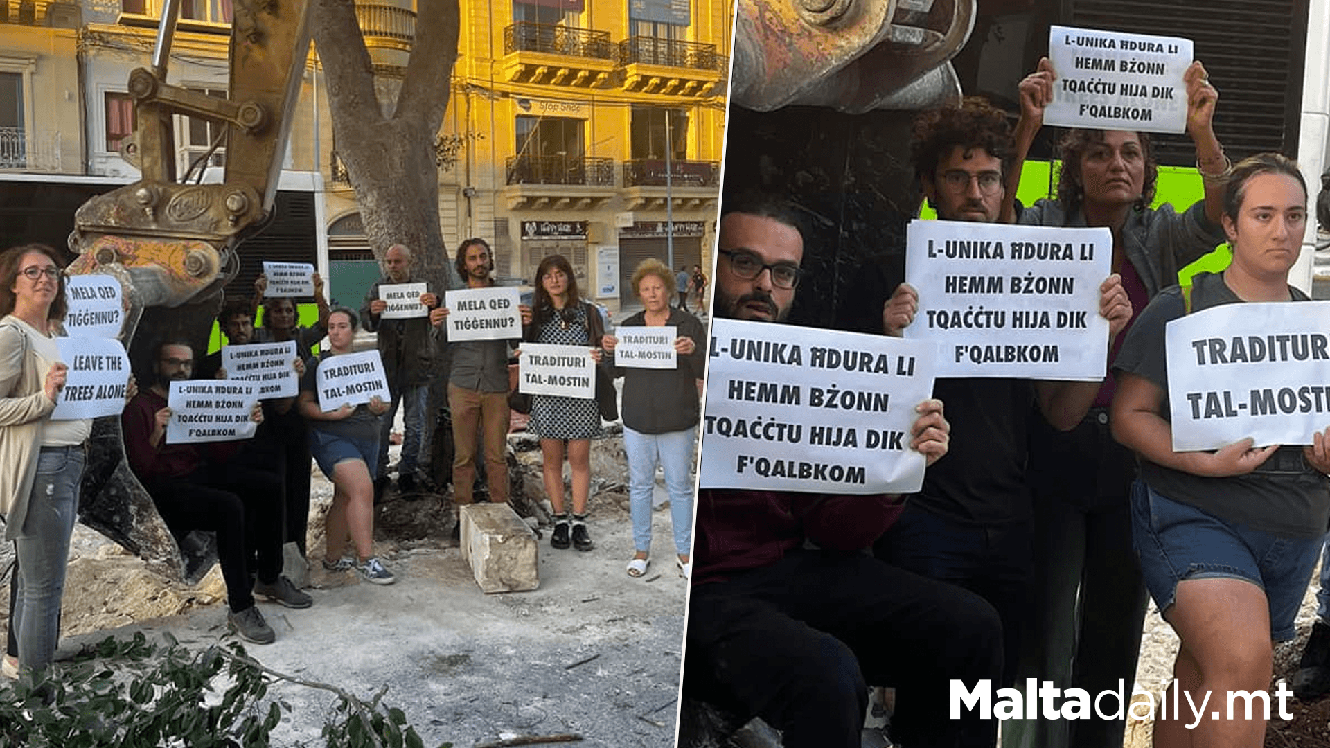 Moviment Graffitti Activists Protest Most Tree Removal