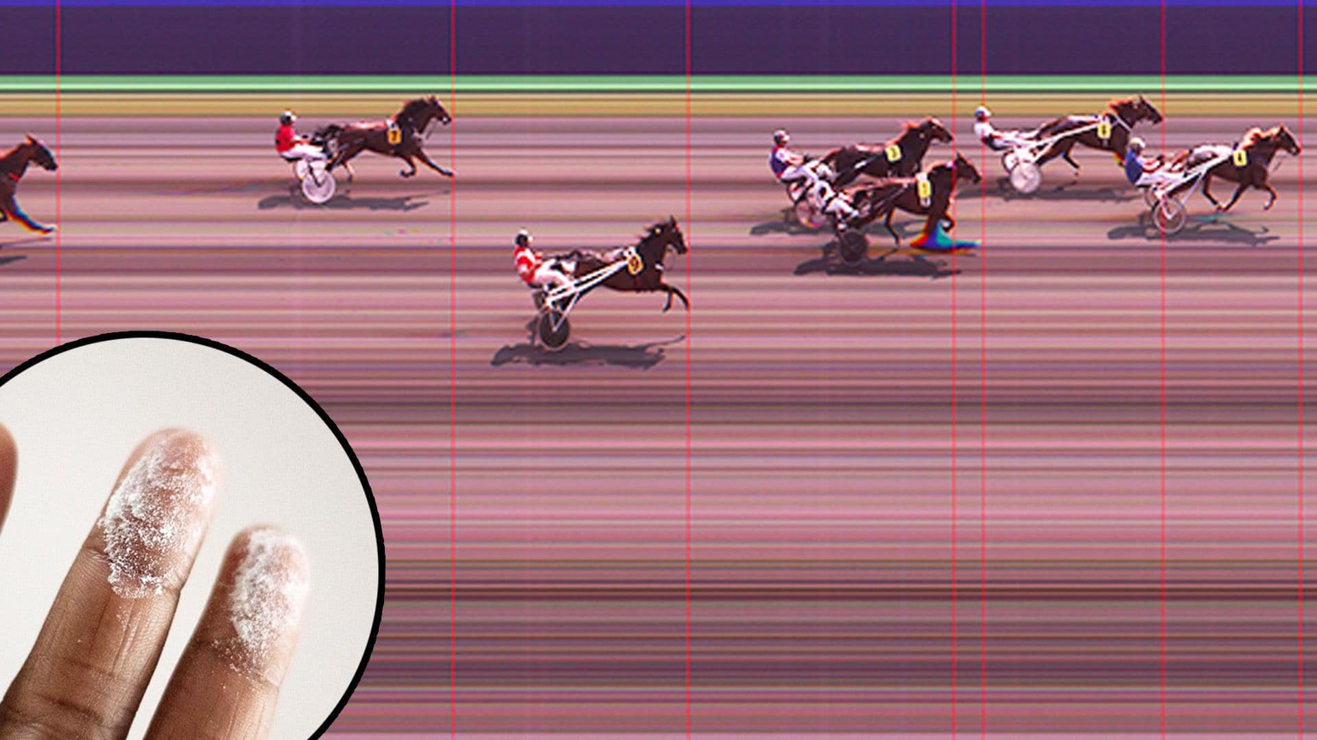 Race-Winning Horse Tests Positive for Cocaine, Ketamine, Meth & Other Substances