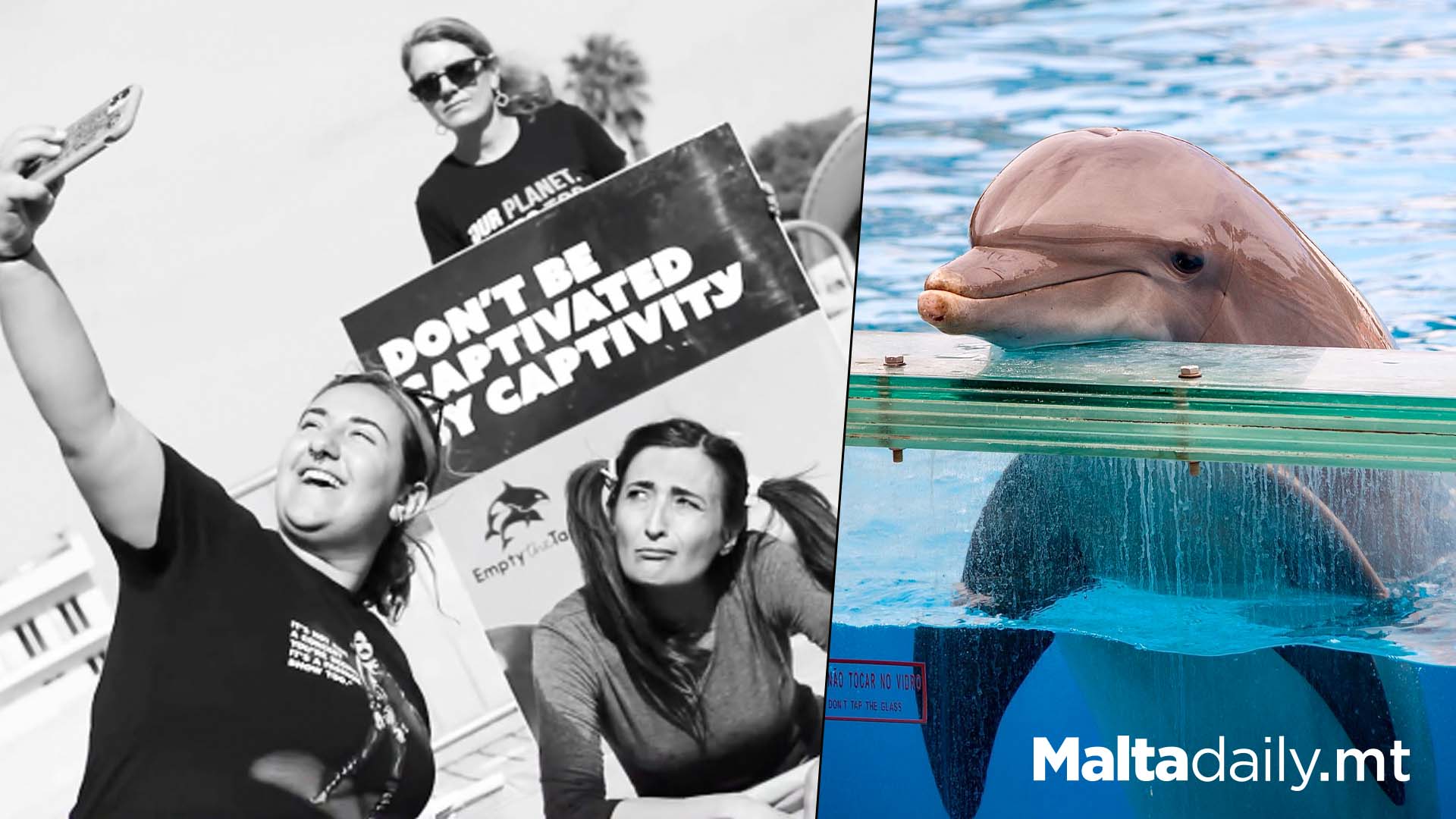 Activist Portrays Dolphin In Protest Outside Mediterraneo Park