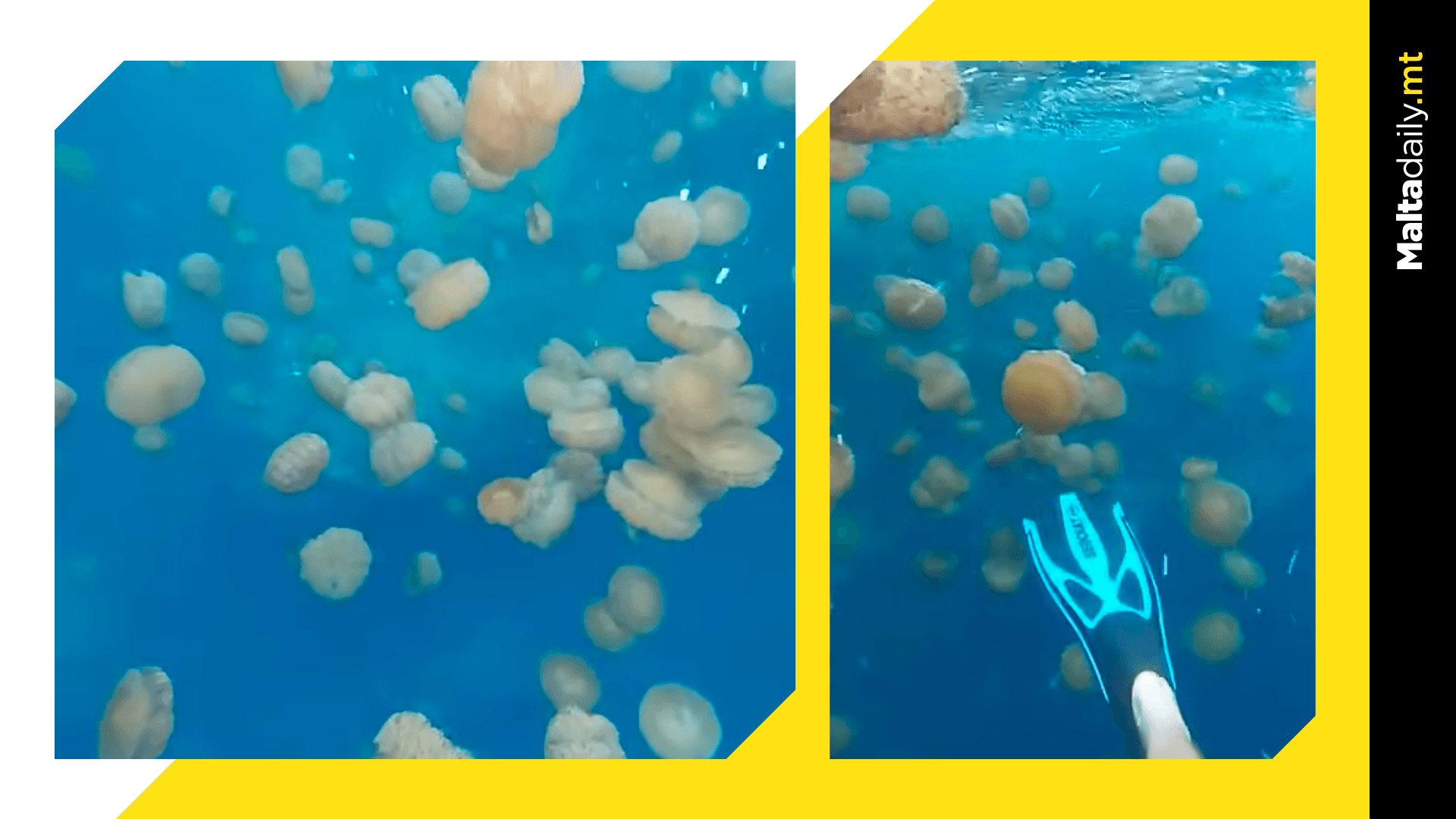 Fried Egg Jellyfish Soup In Xlendi