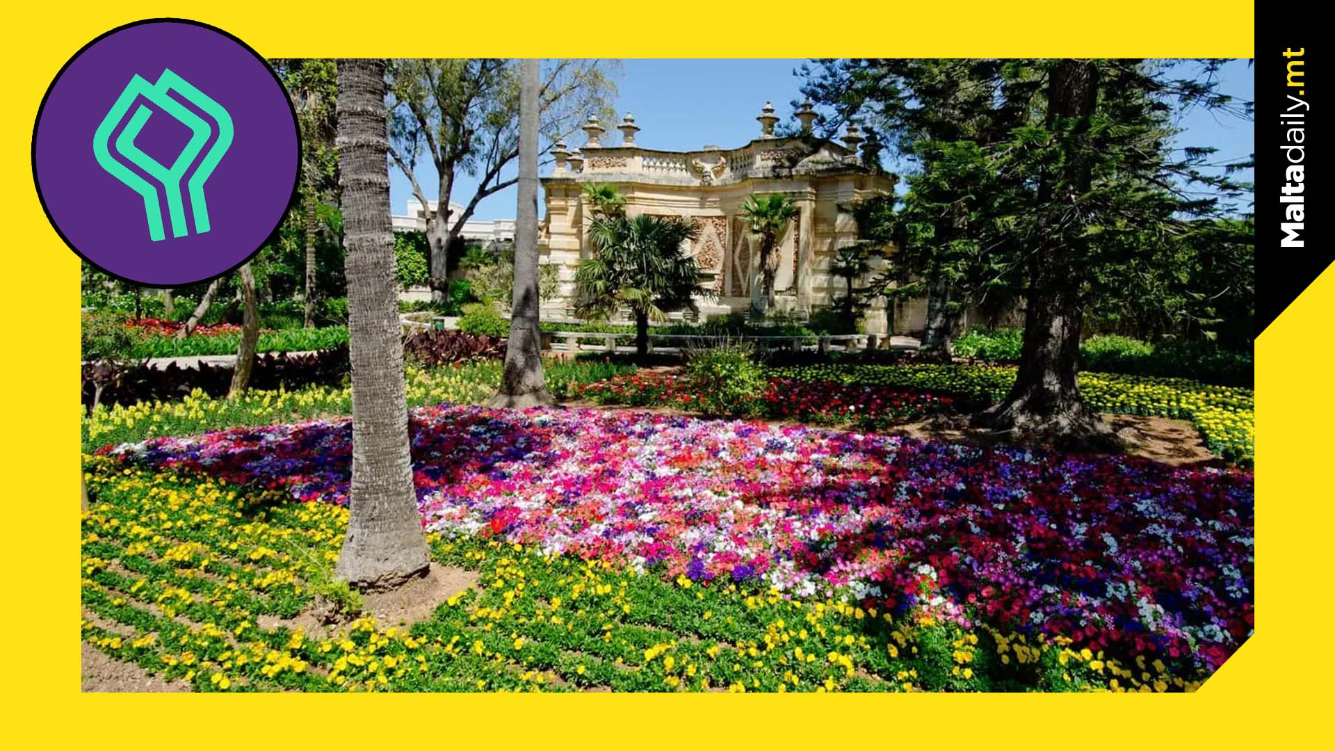 Studies For San Anton Garden Conservation Completed