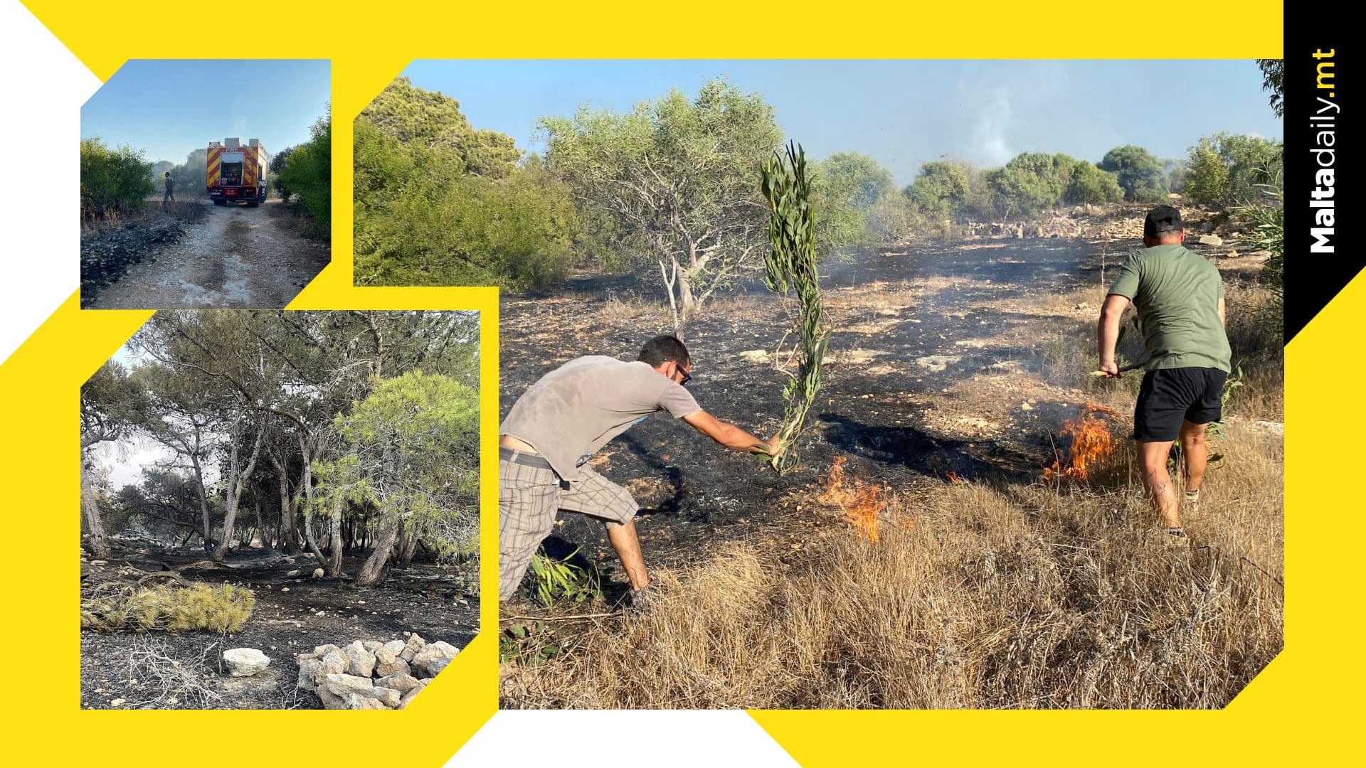 Suspicious Fires Ravage – FKNK Calls for Unity in Protecting Nature