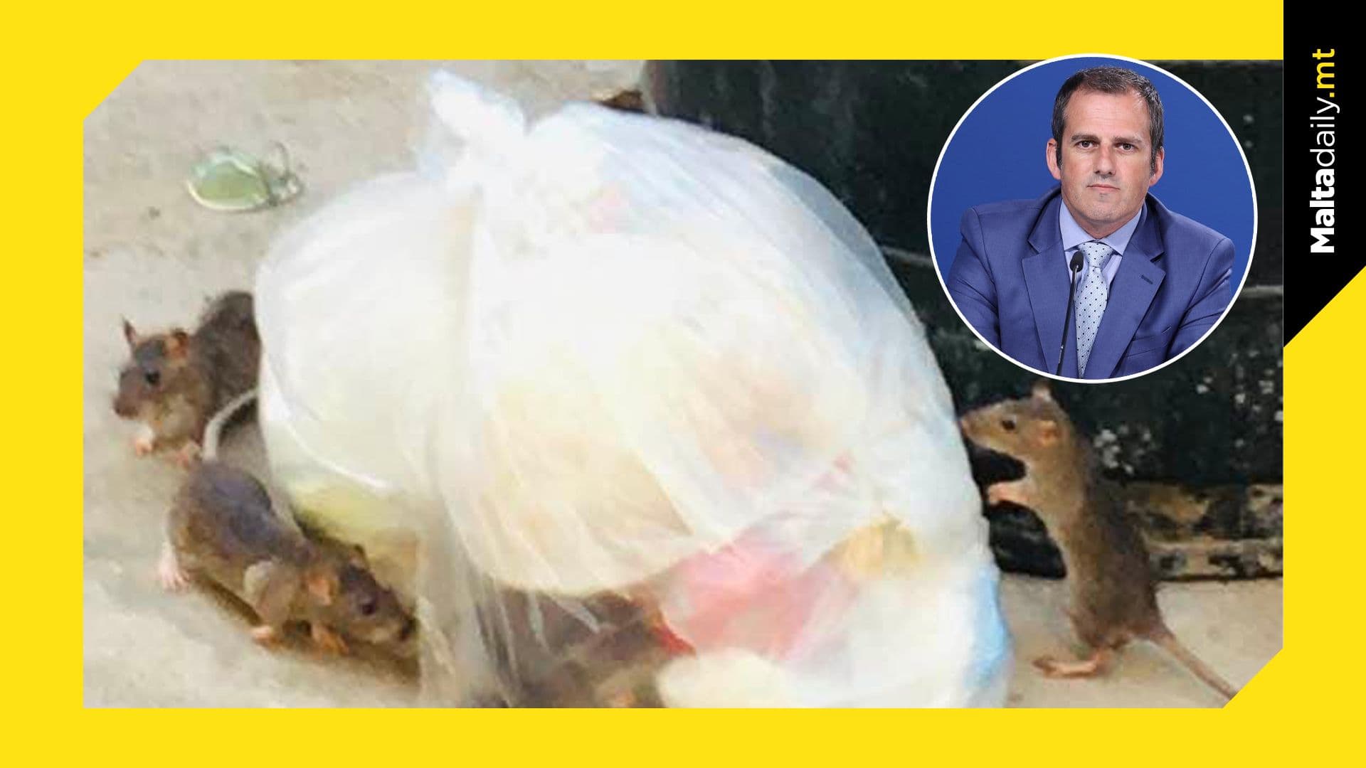 MP Graham Bencini Spotlights Rat-Infested Waste Woes