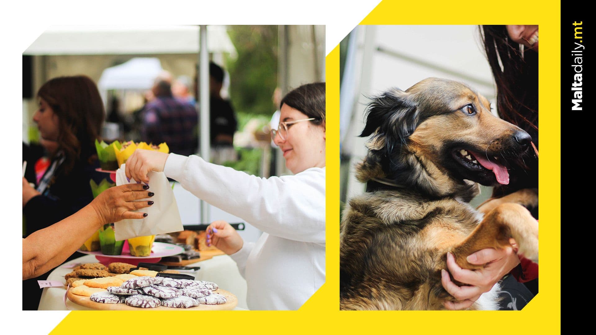 Malta’s youths come together for environmental fair organised by National Youth Council