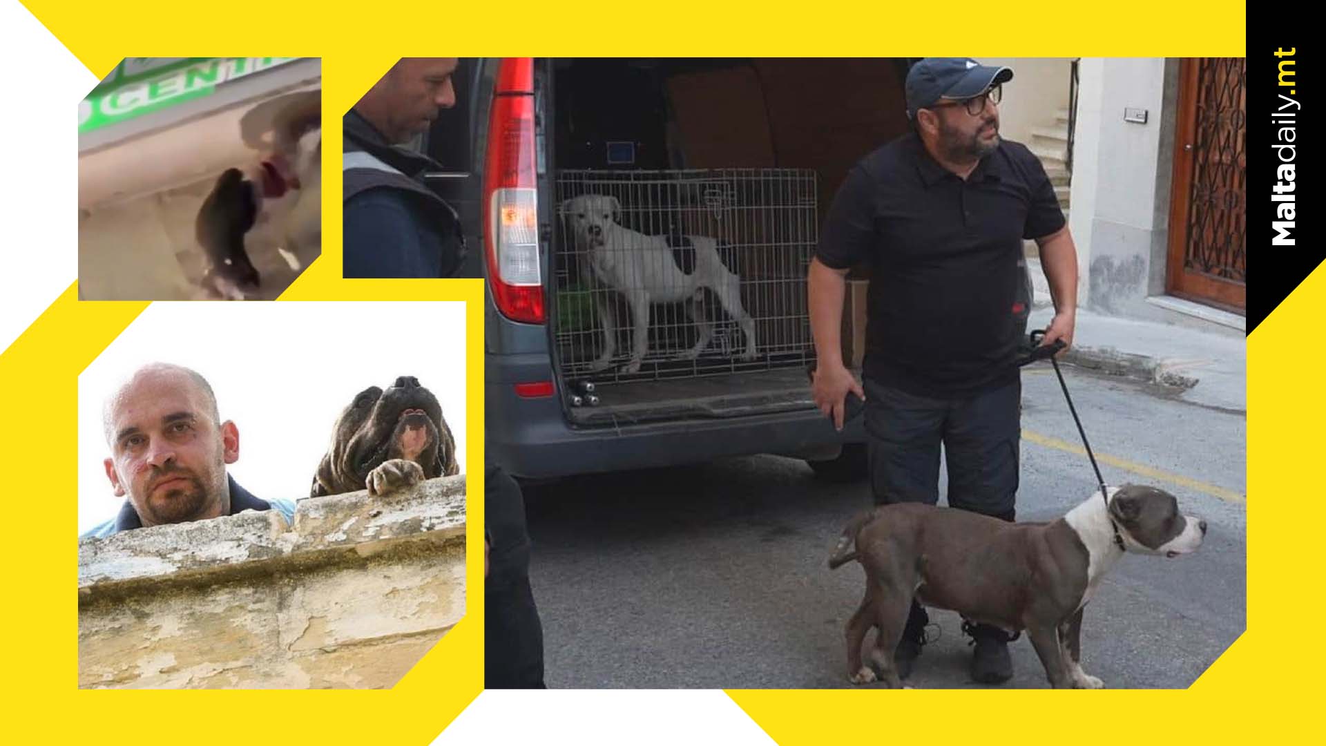 8 dogs belonging to attacked breeder confiscated