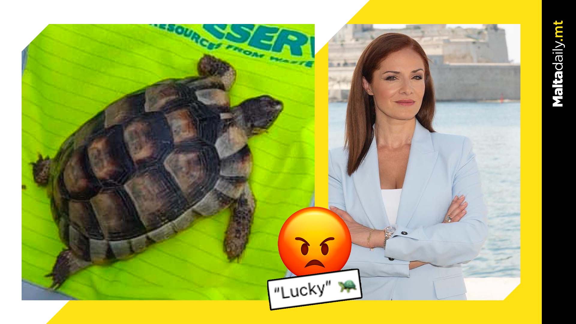 Tortoise found by WasteServ workers after having been thrown away