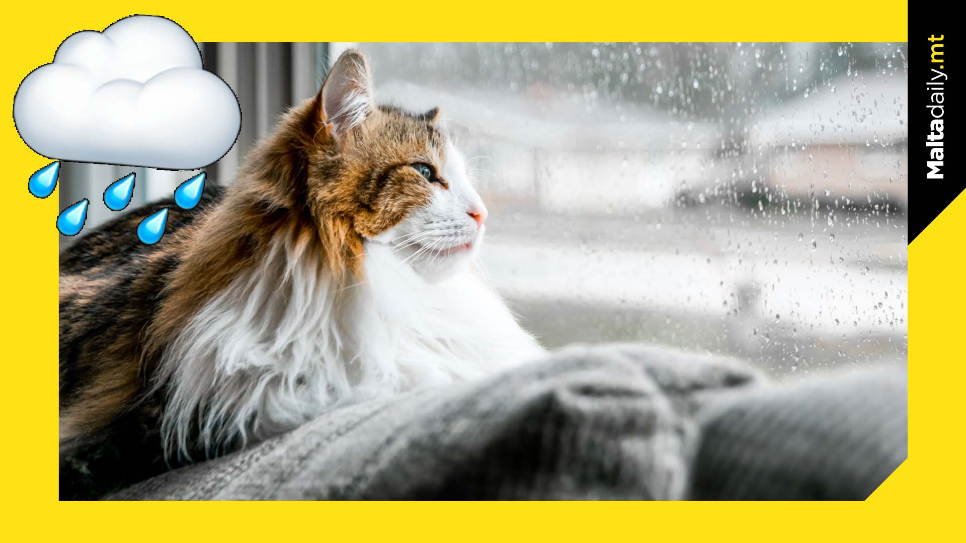 Is it raining outside? Here are some activities to do at home!