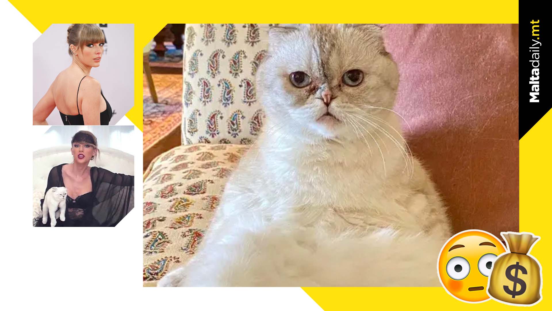 Taylor Swift’s cat Olivia Benson is worth $97 million